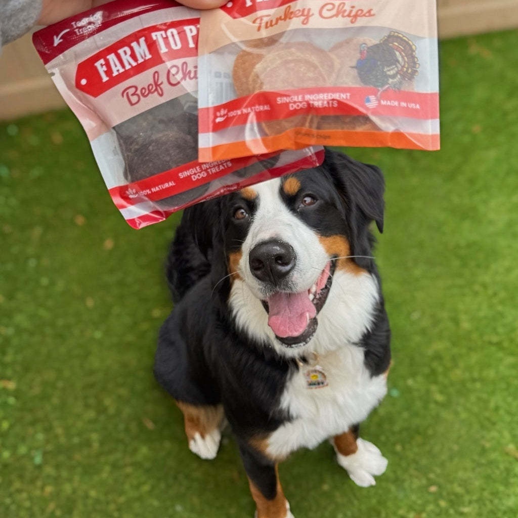 Puppy Packs 'n Snacks Dog Treat Starter Pack | Single-Ingredient Training Treats - Elite Pet Collective
