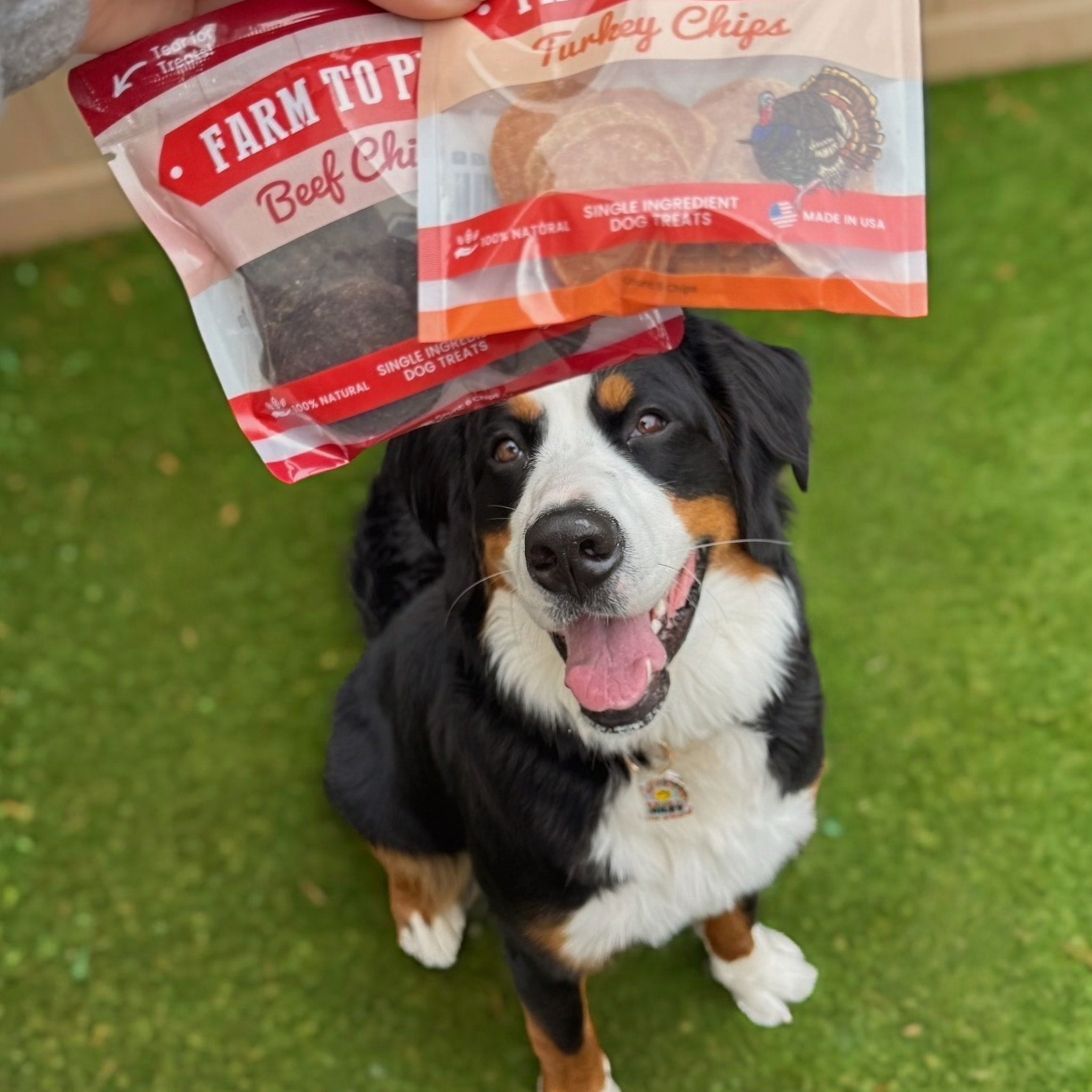 Puppy Packs 'n Snacks Dog Treat Starter Pack | Single-Ingredient Training Treats - Elite Pet Collective