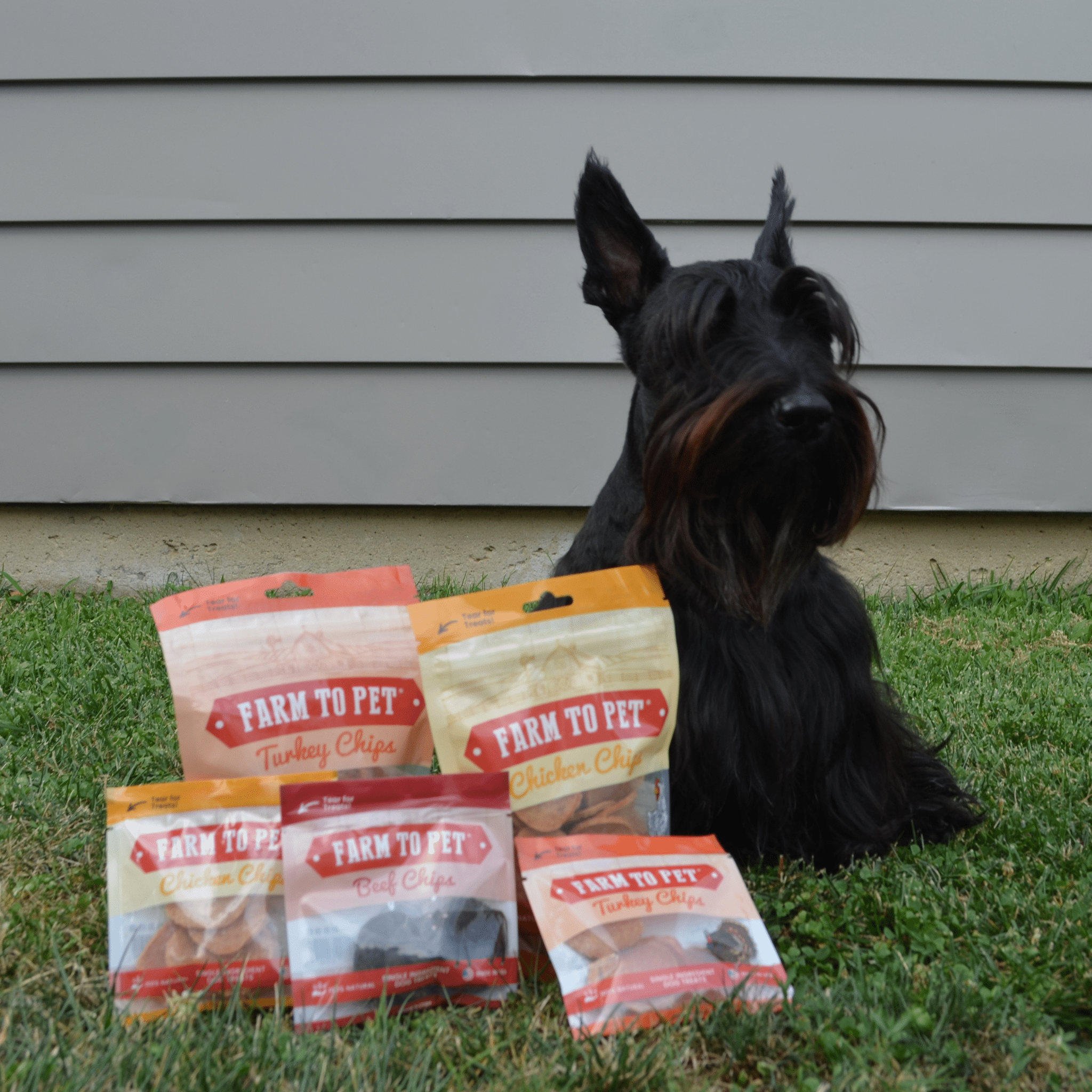 Puppy Packs 'n Snacks Dog Treat Starter Pack | Single-Ingredient Training Treats - Elite Pet Collective