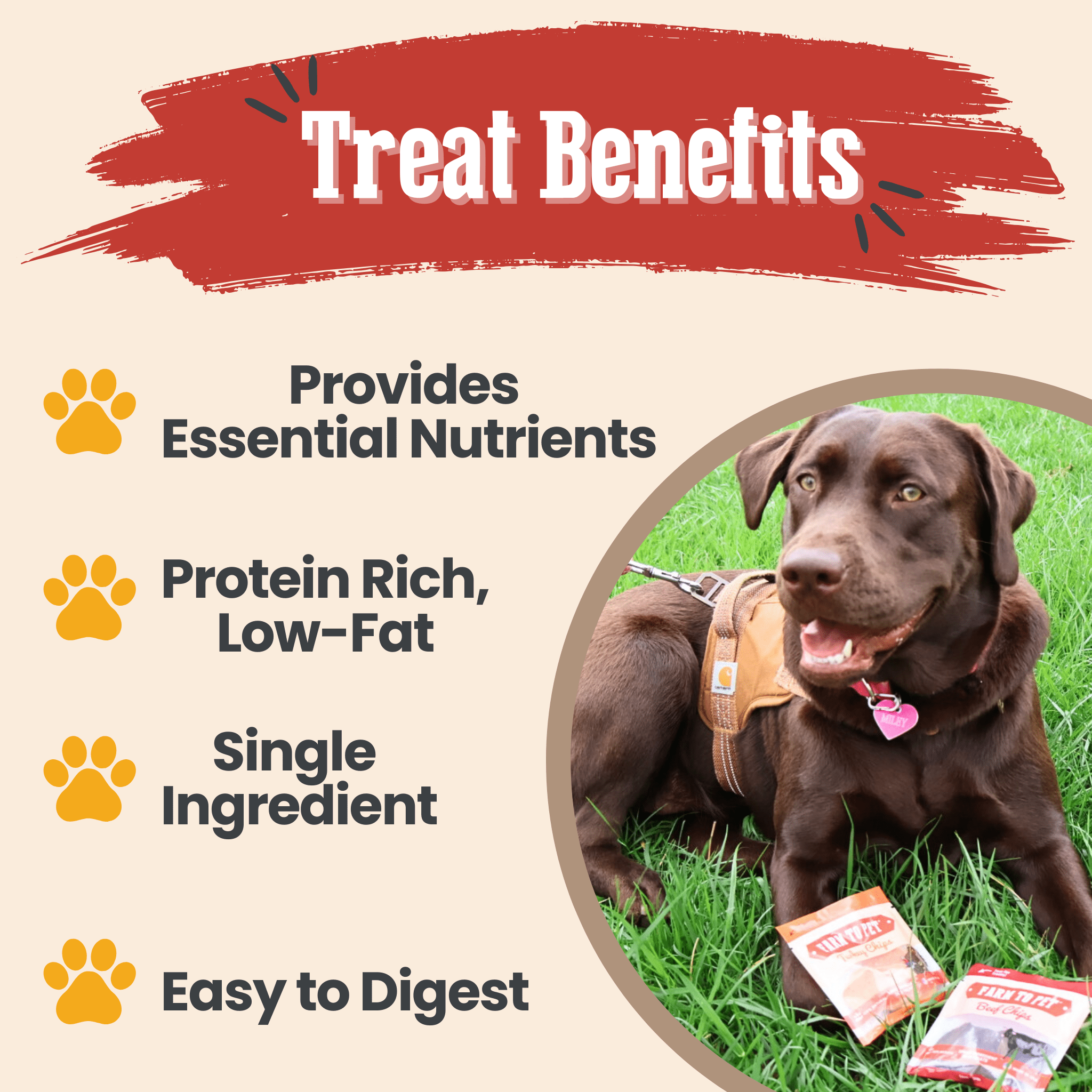 Snack Pack Dog Treat Sampler - Elite Pet Collective
