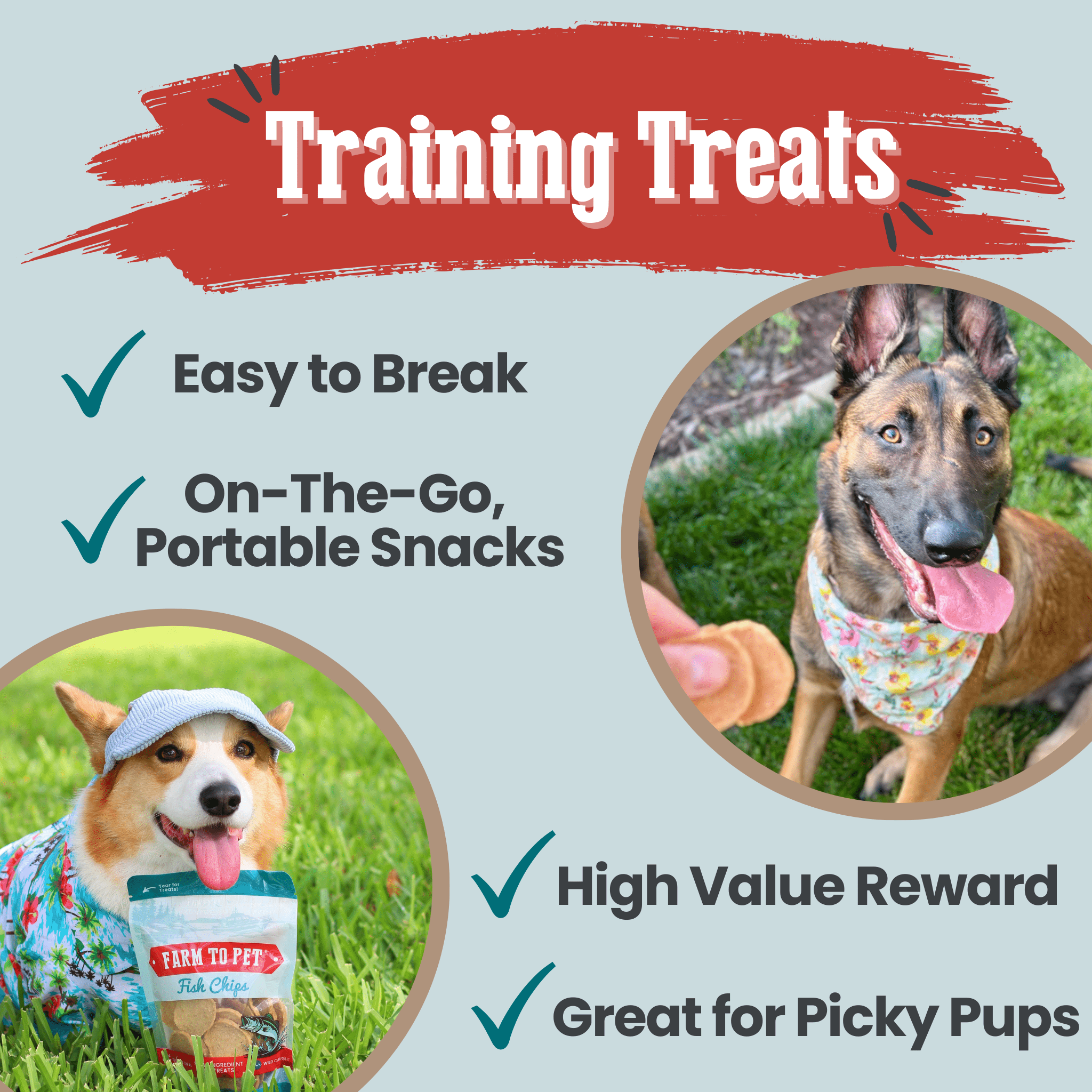 Fish Chips for Dogs | Wild-Caught Fish Dog Treats - Elite Pet Collective