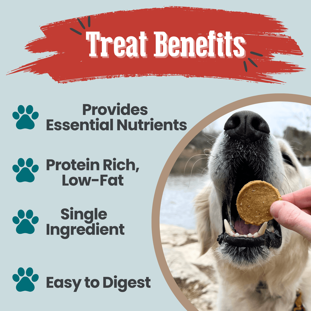 Fish Chips for Dogs | Wild-Caught Fish Dog Treats - Elite Pet Collective