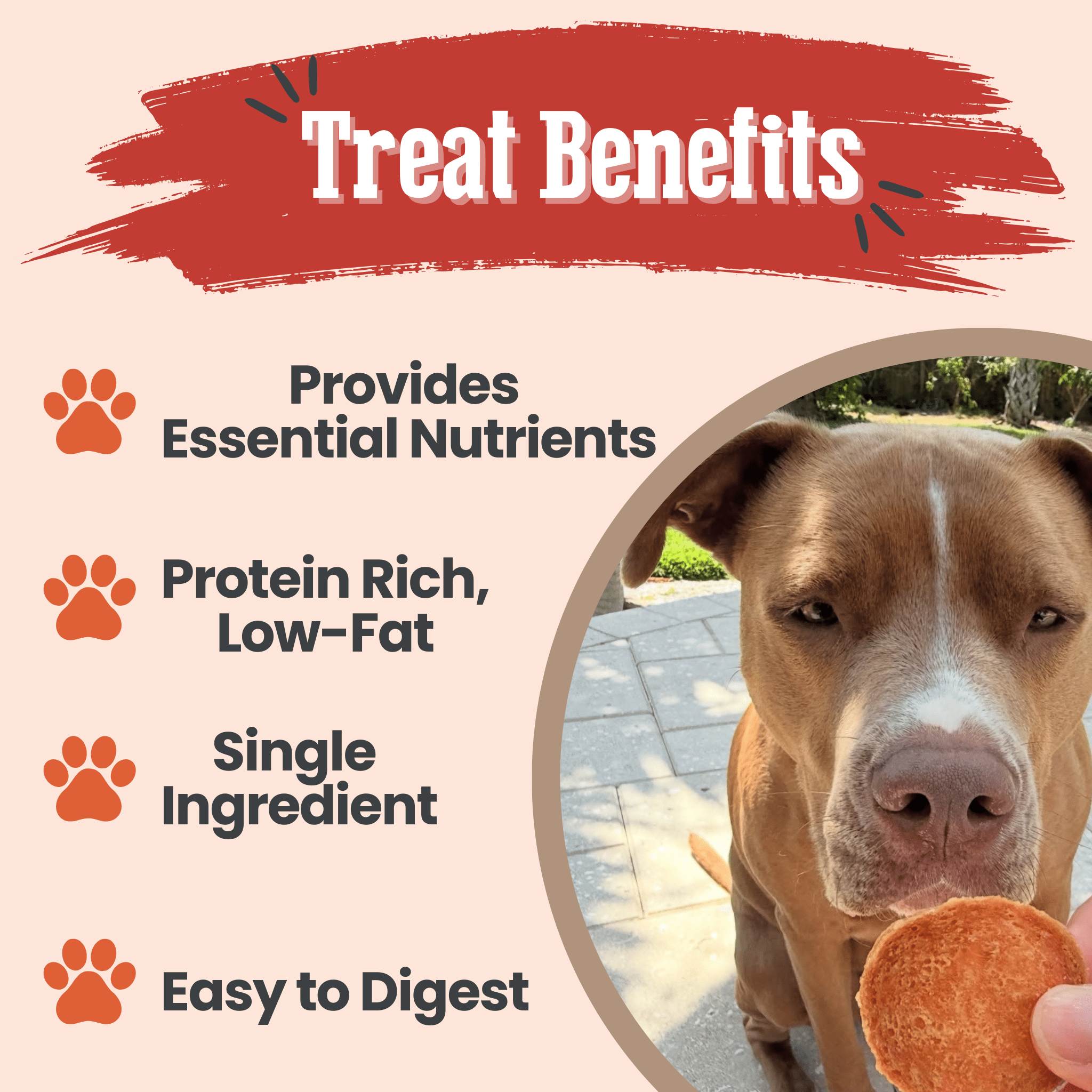 Turkey Chips for Dogs | All-Natural Single-Ingredient Healthy Dog Treats - Elite Pet Collective