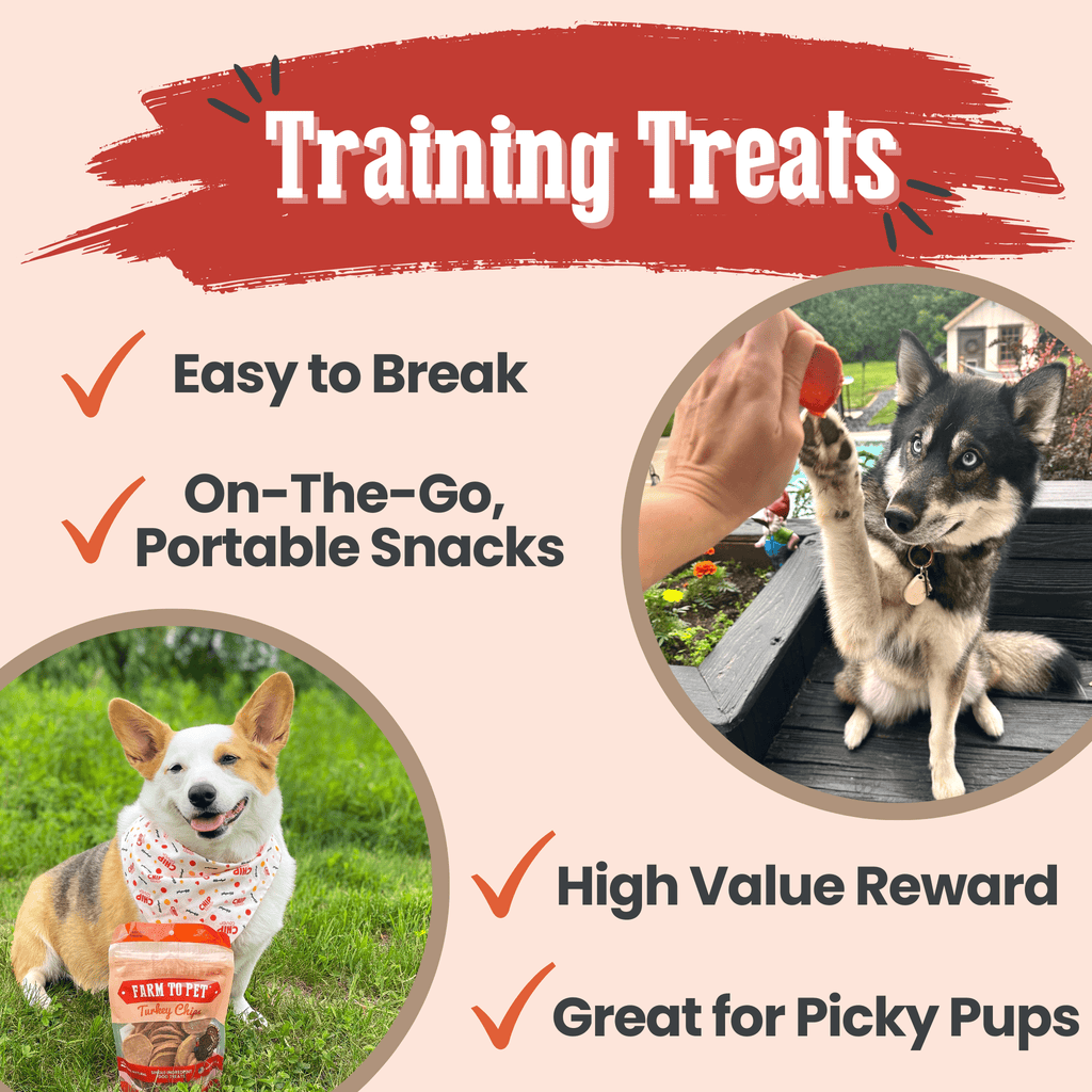Turkey Chips for Dogs | All-Natural Single-Ingredient Healthy Dog Treats - Elite Pet Collective