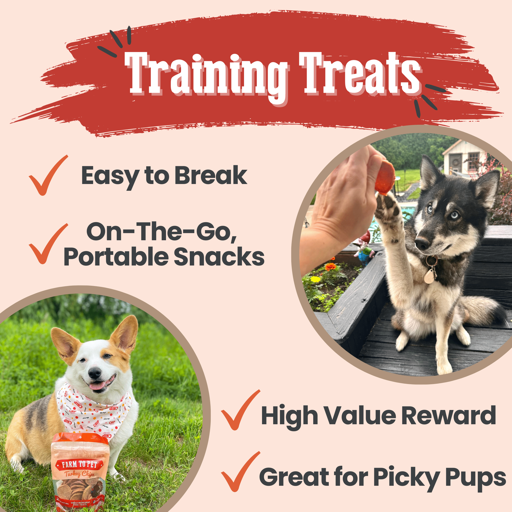 Turkey Chips for Dogs | All-Natural Single-Ingredient Healthy Dog Treats - Elite Pet Collective