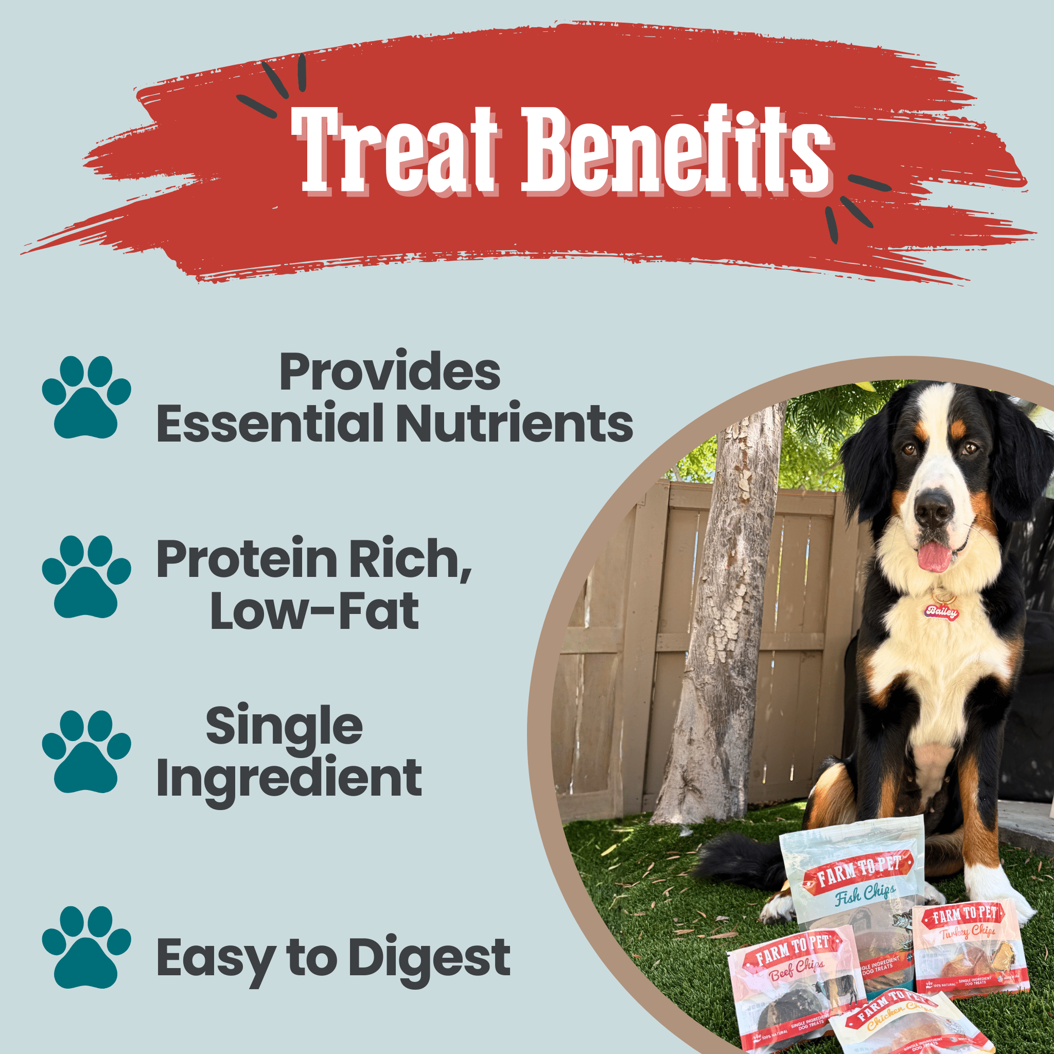 Puppy Packs 'n Snacks Dog Treat Starter Pack | Single-Ingredient Training Treats - Elite Pet Collective