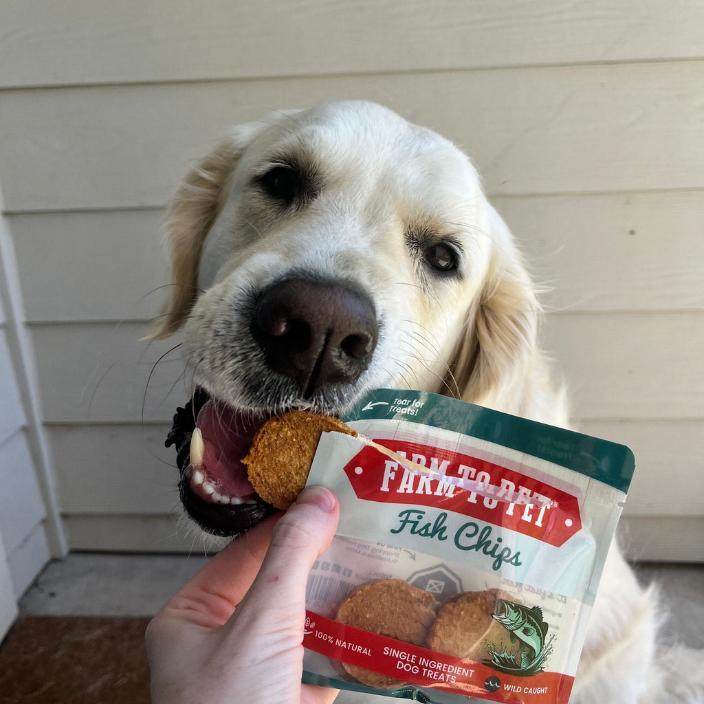 Snack Pack Dog Treat Sampler - Elite Pet Collective