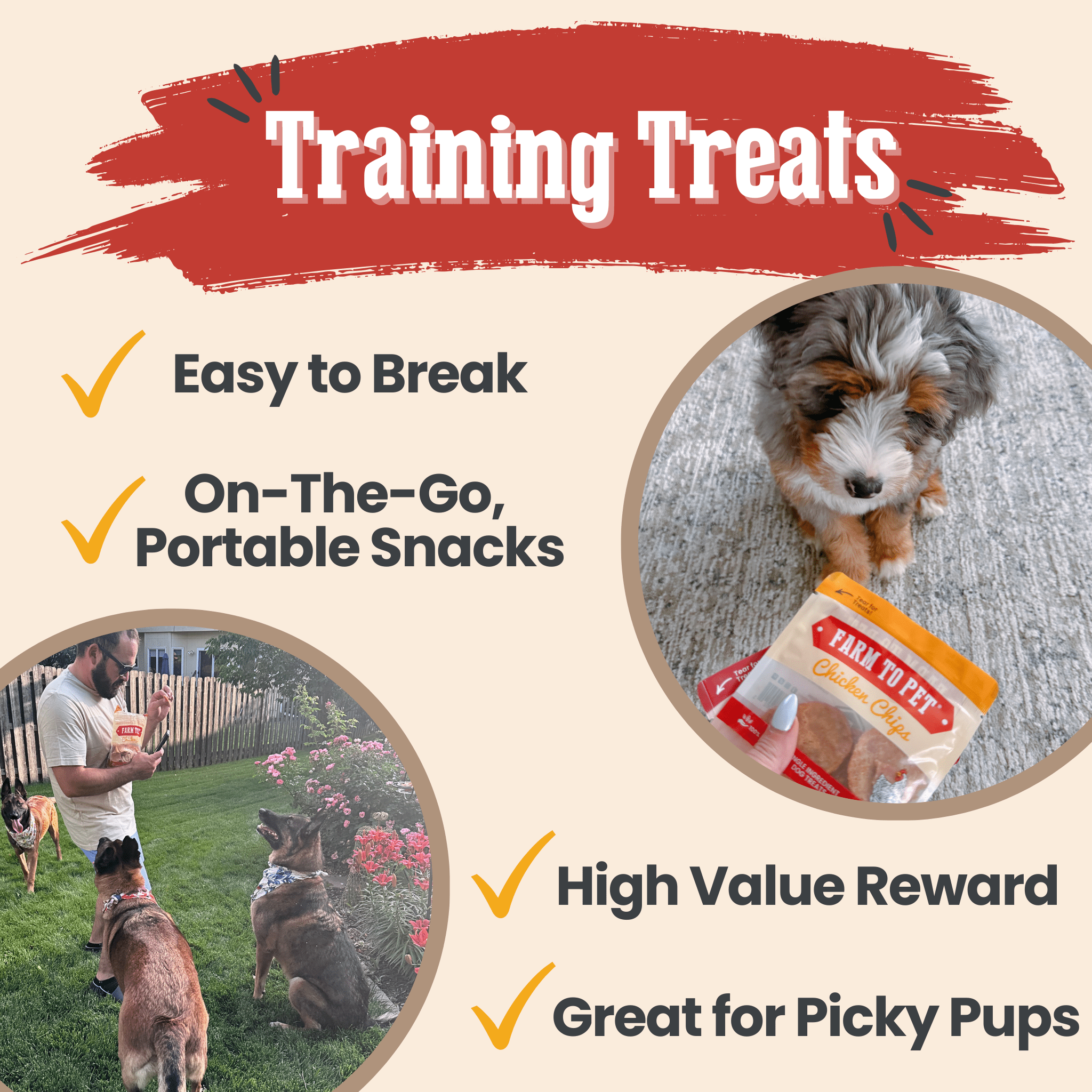 Snack Pack Dog Treat Sampler - Elite Pet Collective
