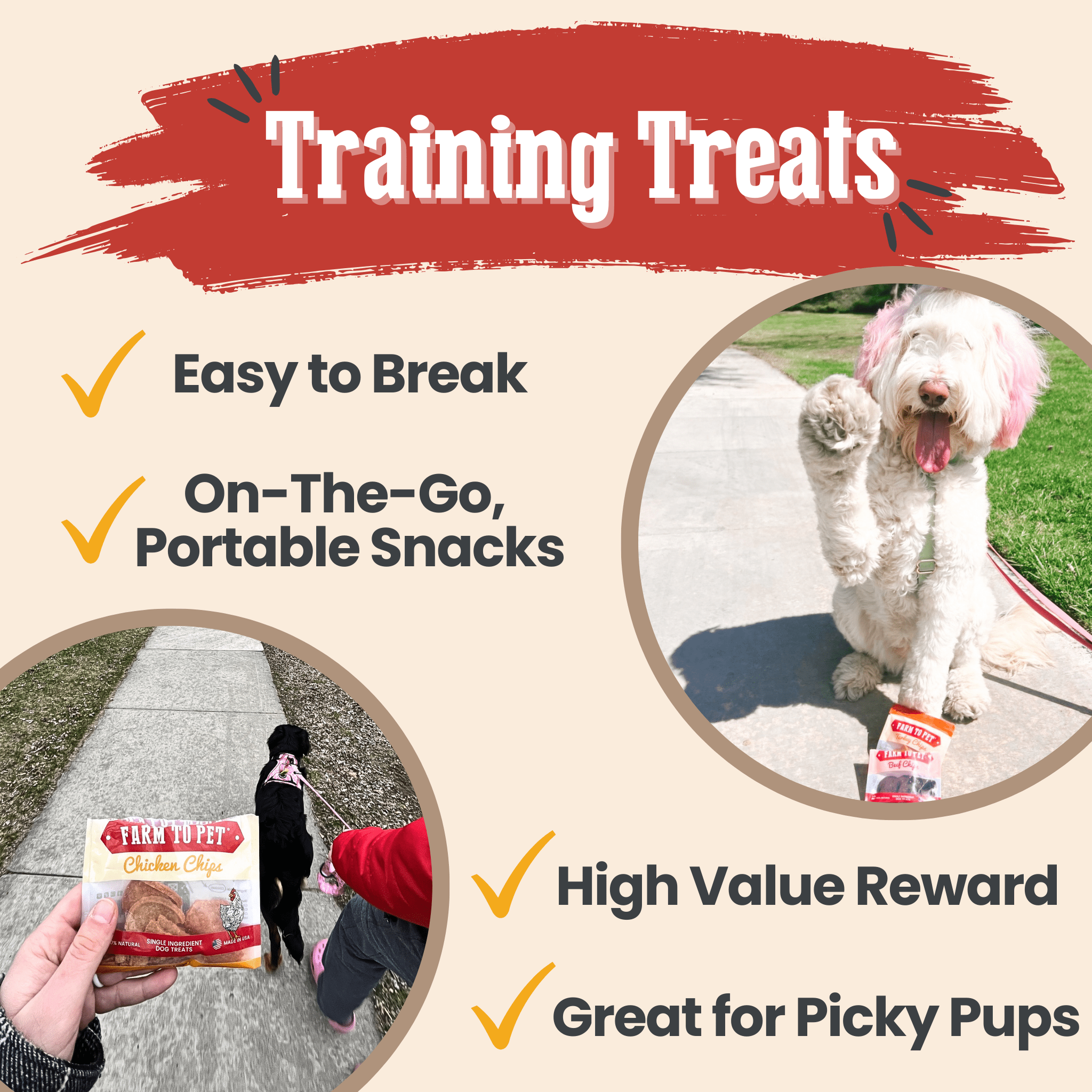 Snack Pack Dog Treat Sampler - Elite Pet Collective