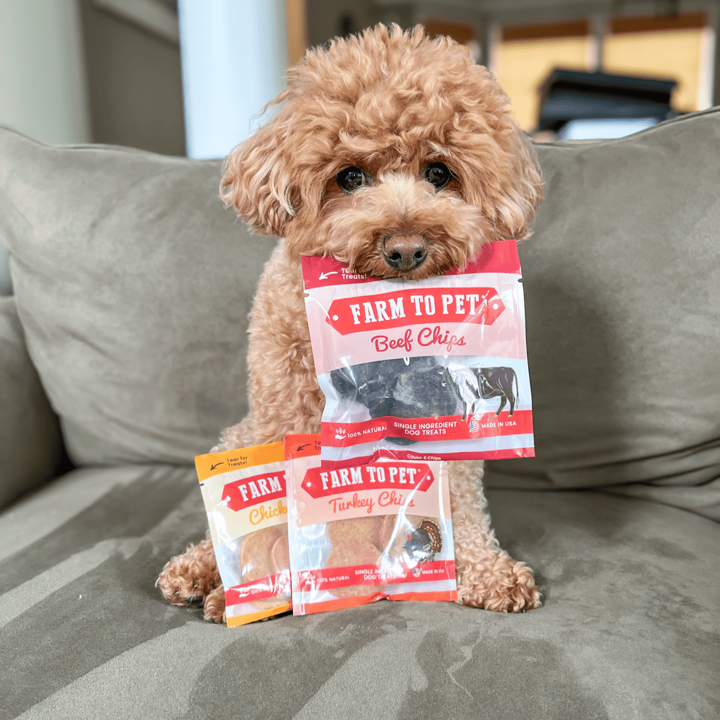 Puppy Packs 'n Snacks Dog Treat Starter Pack | Single-Ingredient Training Treats - Elite Pet Collective