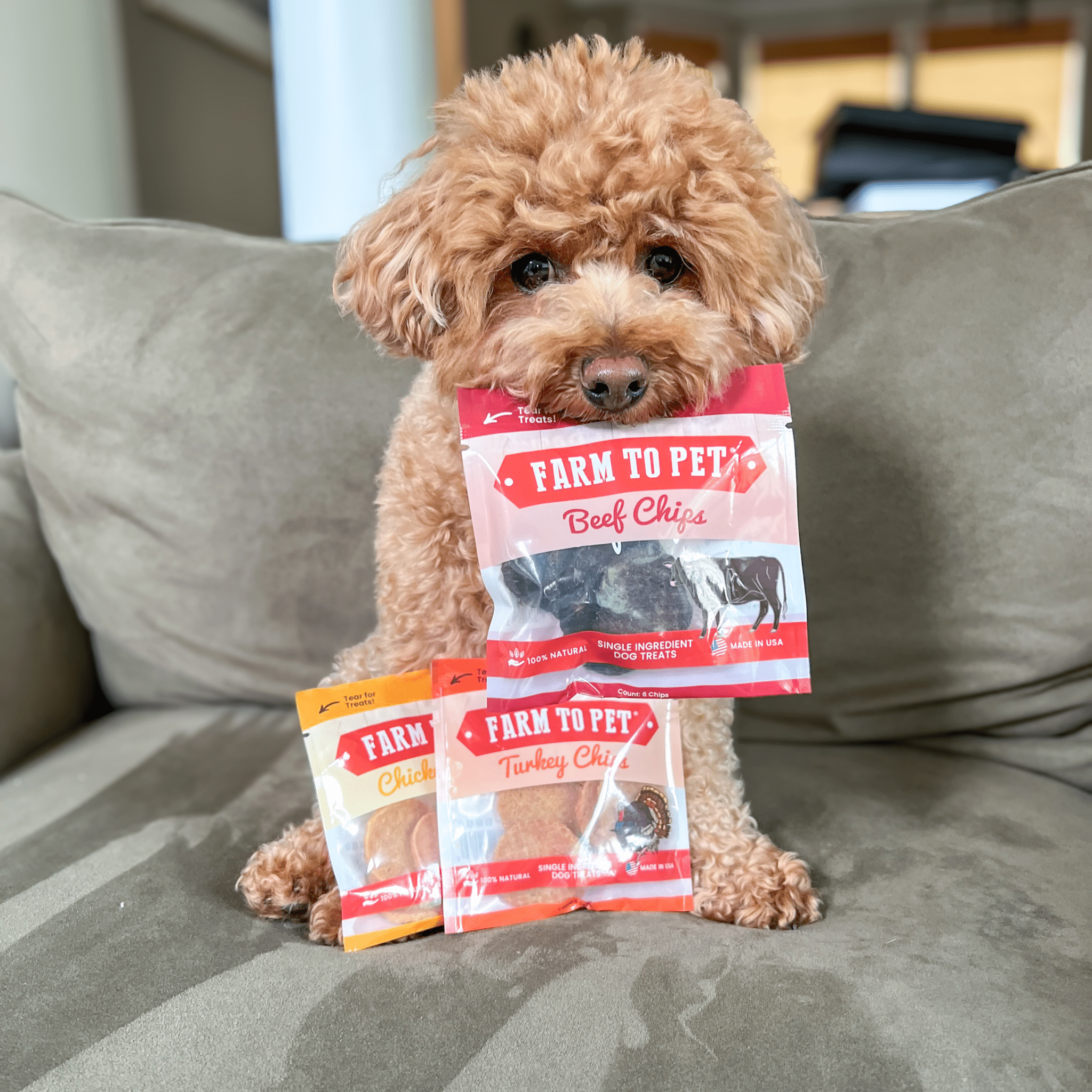 Puppy Packs 'n Snacks Dog Treat Starter Pack | Single-Ingredient Training Treats - Elite Pet Collective