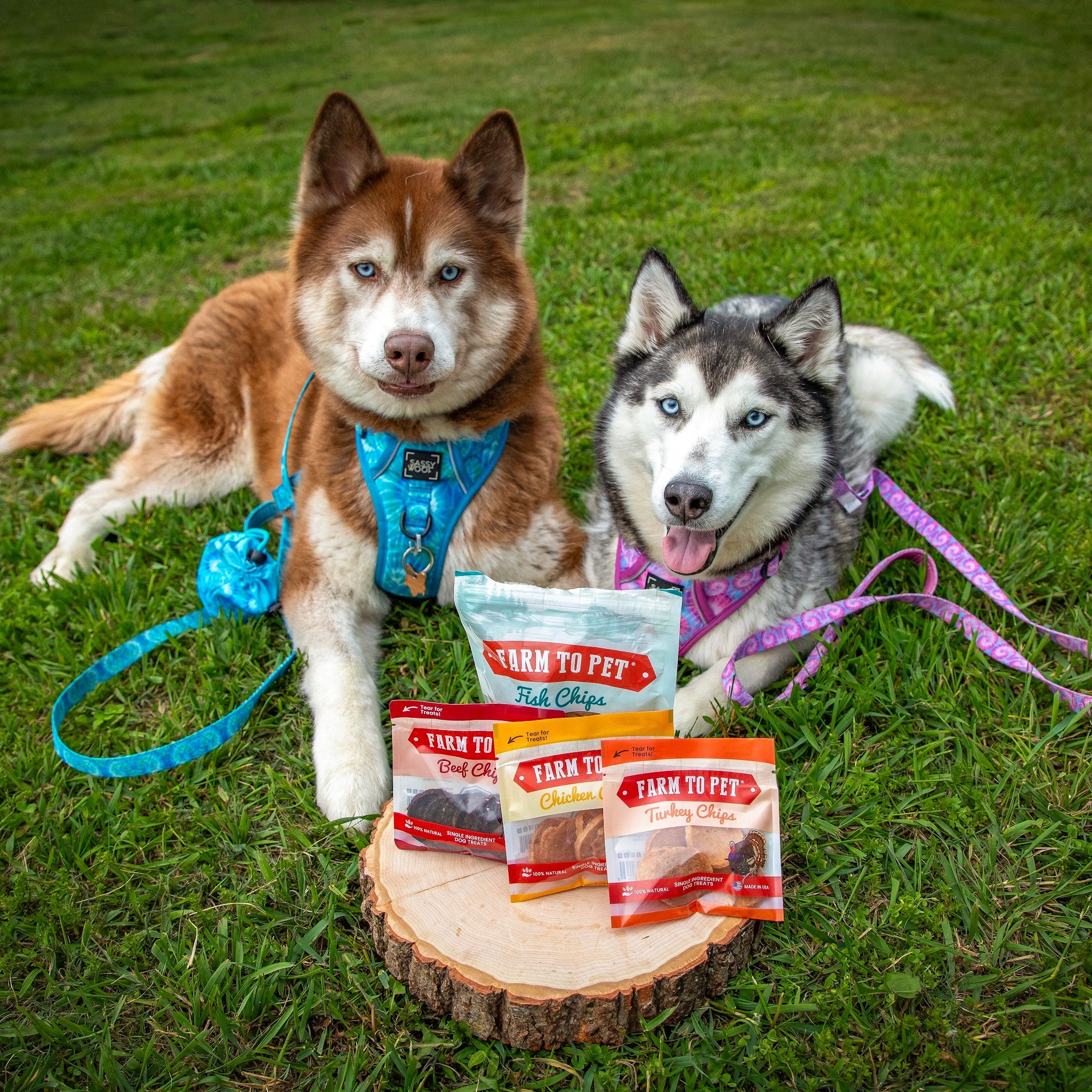 Puppy Packs 'n Snacks Dog Treat Starter Pack | Single-Ingredient Training Treats - Elite Pet Collective
