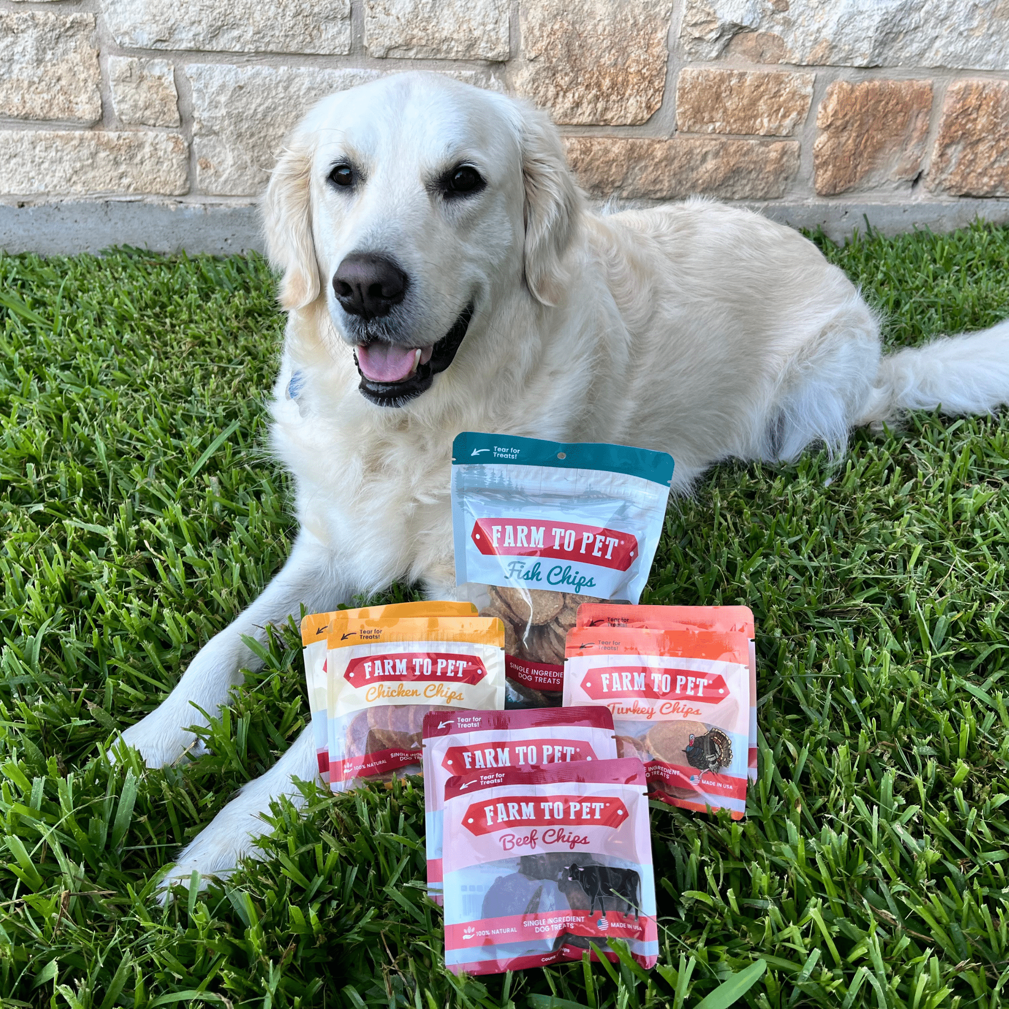 Puppy Packs 'n Snacks Dog Treat Starter Pack | Single-Ingredient Training Treats - Elite Pet Collective