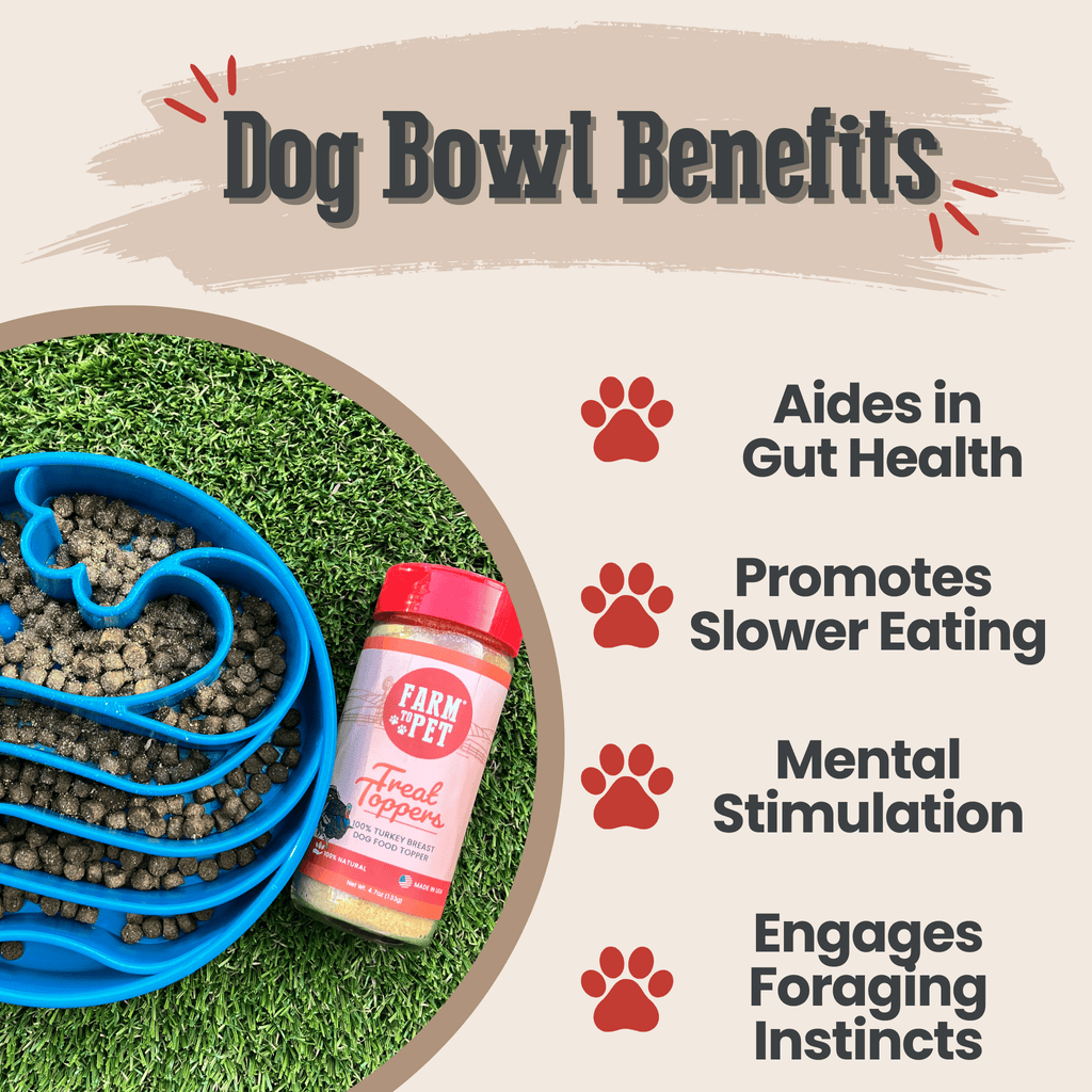 Slow Feeder Dog Bowls - Elite Pet Collective