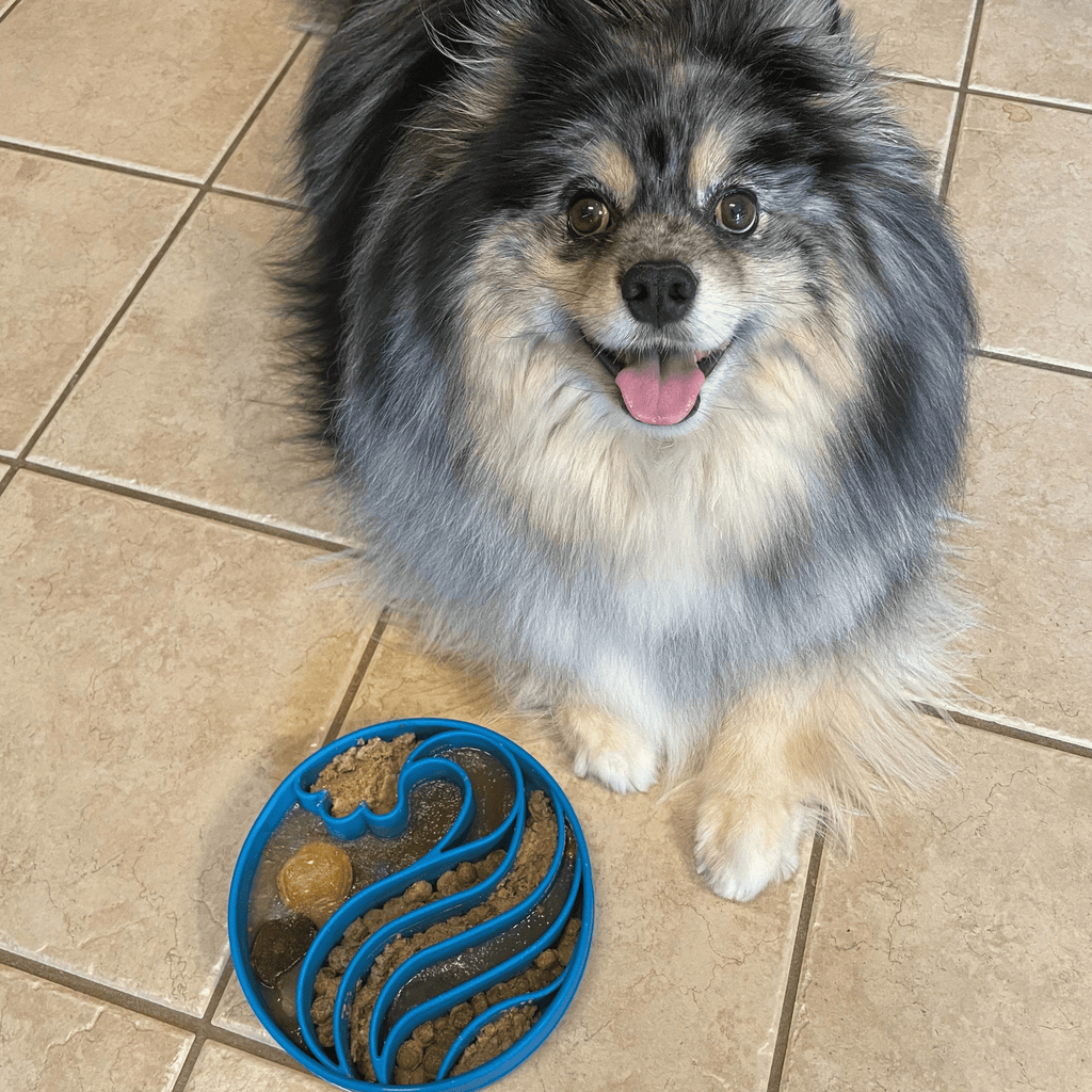 Slow Feeder Dog Bowls - Elite Pet Collective