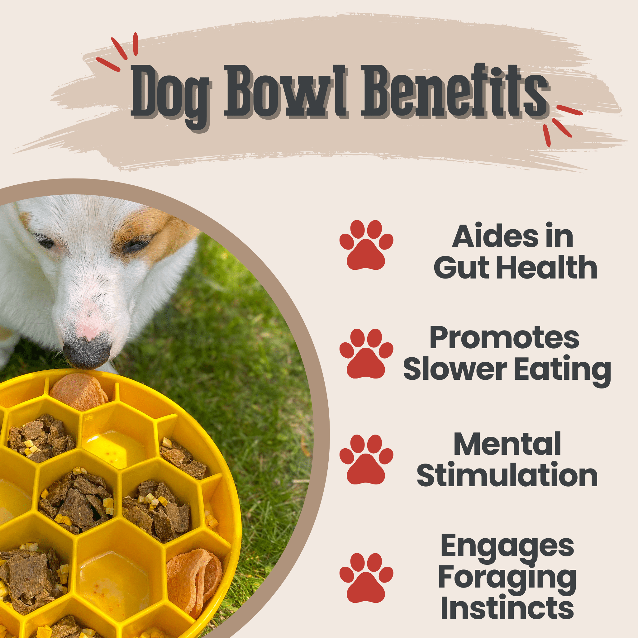 Slow Feeder Dog Bowls - Elite Pet Collective