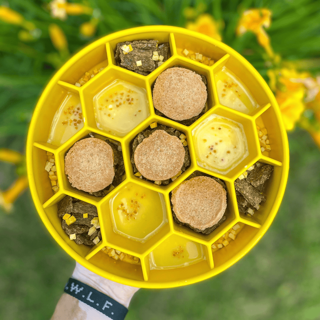 Slow Feeder Dog Bowls - Elite Pet Collective