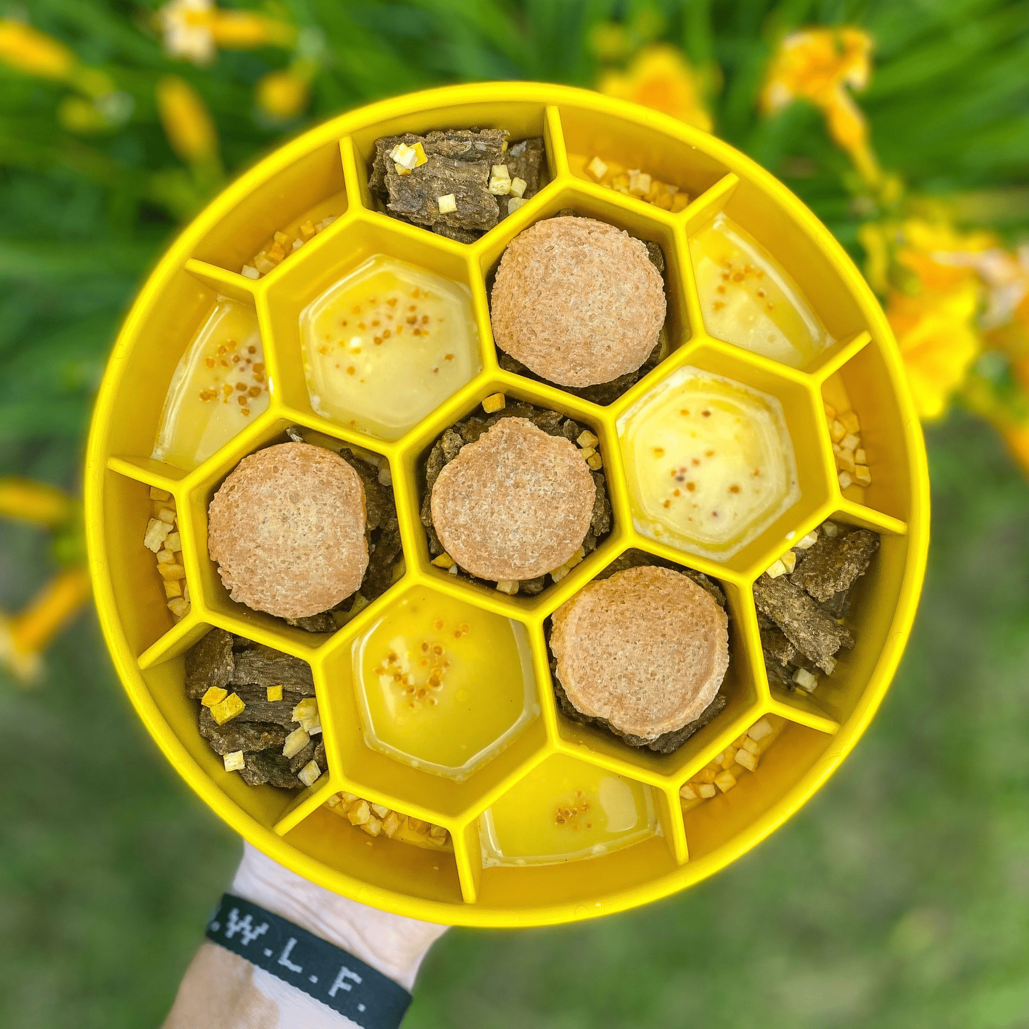 Slow Feeder Dog Bowls - Elite Pet Collective