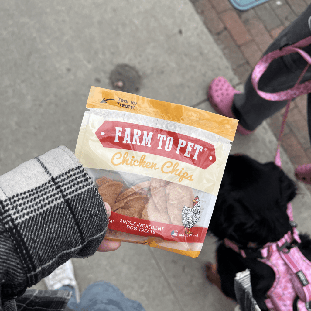 Chicken Chips Snack Pack Bundles | Dog Party Favors & Training Treats - Elite Pet Collective