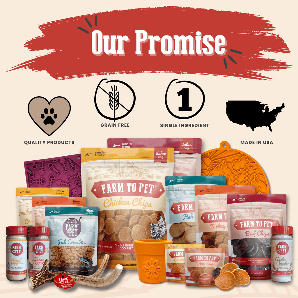 Snack Pack Dog Treat Sampler - Elite Pet Collective