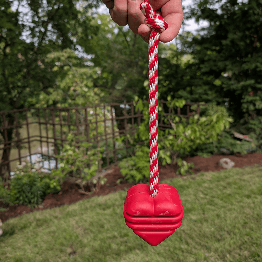 Chew Toys - Elite Pet Collective