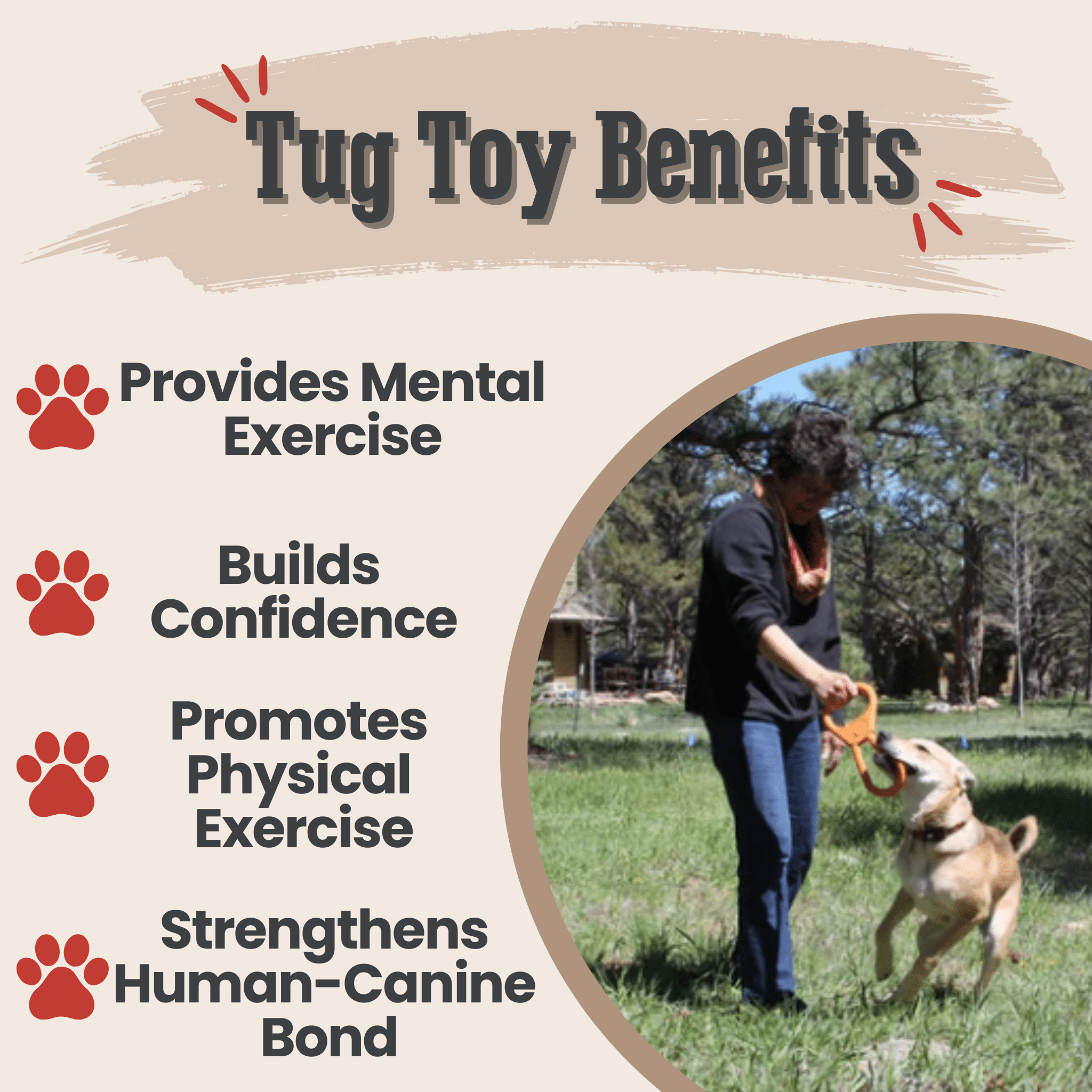 Chew Toys - Elite Pet Collective
