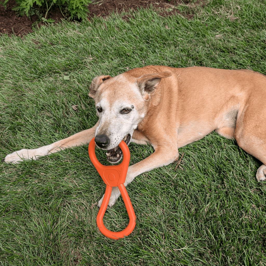 Chew Toys - Elite Pet Collective