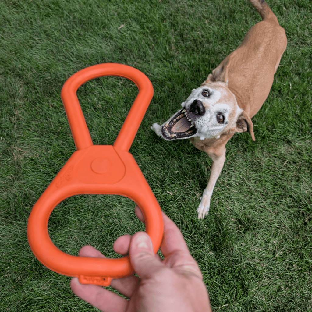 Chew Toys - Elite Pet Collective
