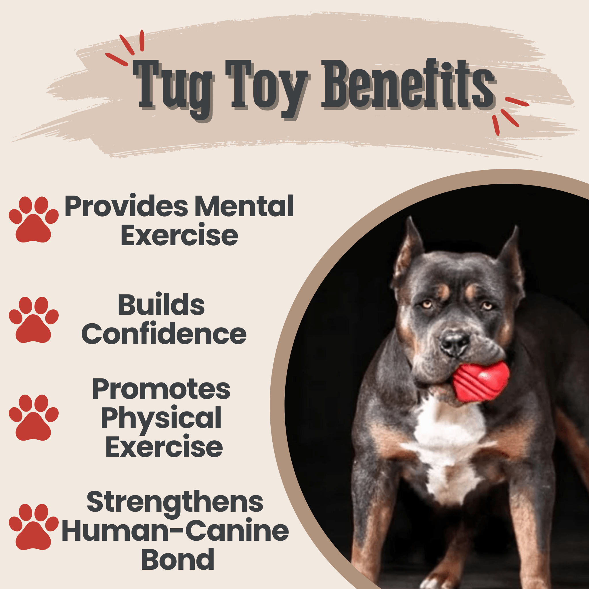 Chew Toys - Elite Pet Collective