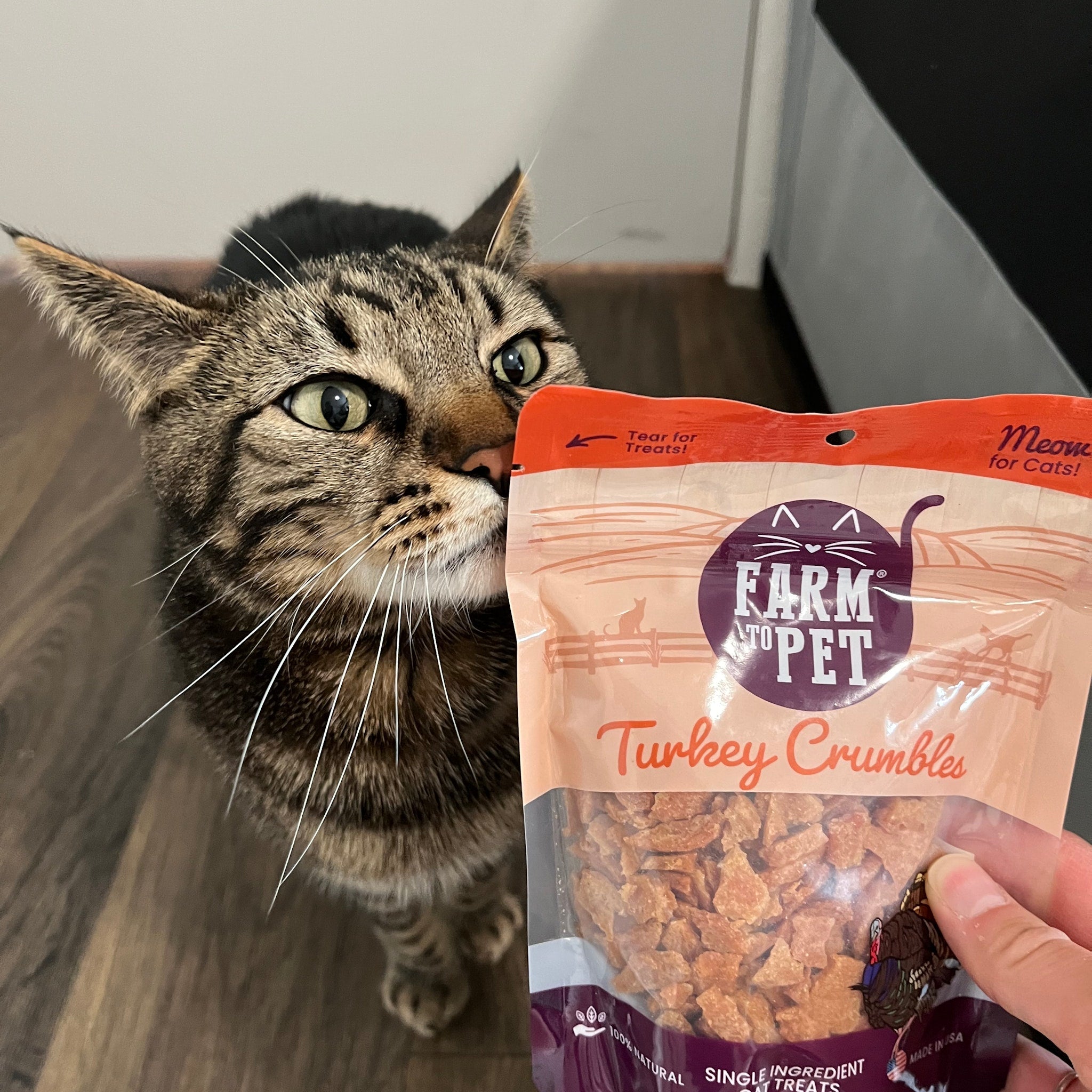 Turkey Crumbles for Cats | Grain-Free Cat Treats - Elite Pet Collective