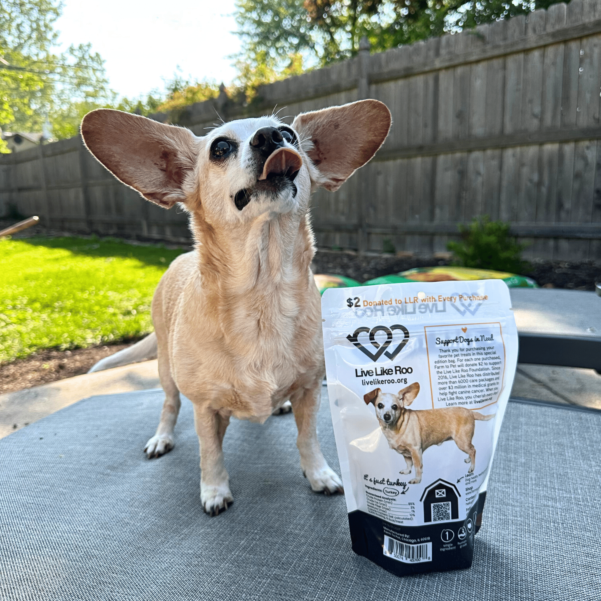 Live Like Roo Turkey Chips for Dogs | Dog Treats That Give Back - Elite Pet Collective