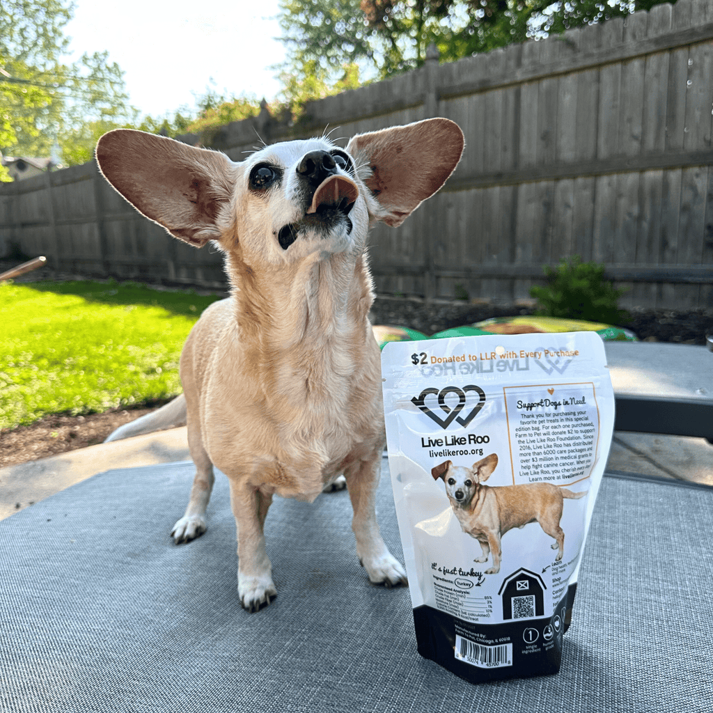 Live Like Roo Turkey Chips for Dogs | Dog Treats That Give Back - Elite Pet Collective