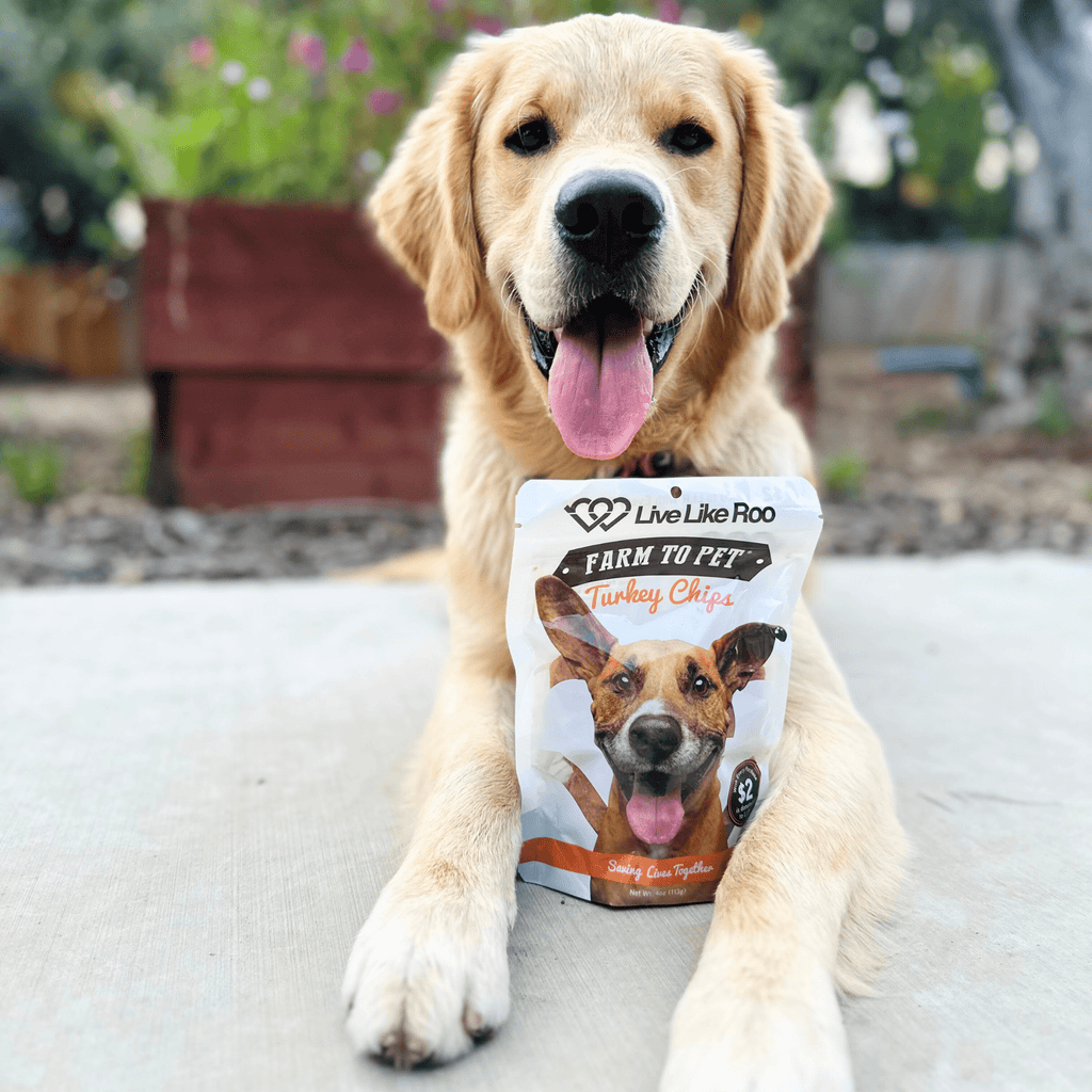 Live Like Roo Turkey Chips for Dogs | Dog Treats That Give Back - Elite Pet Collective