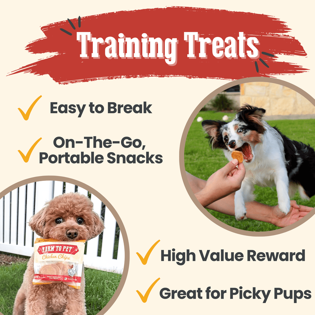 Chicken Chips Snack Pack Bundles | Dog Party Favors & Training Treats - Elite Pet Collective