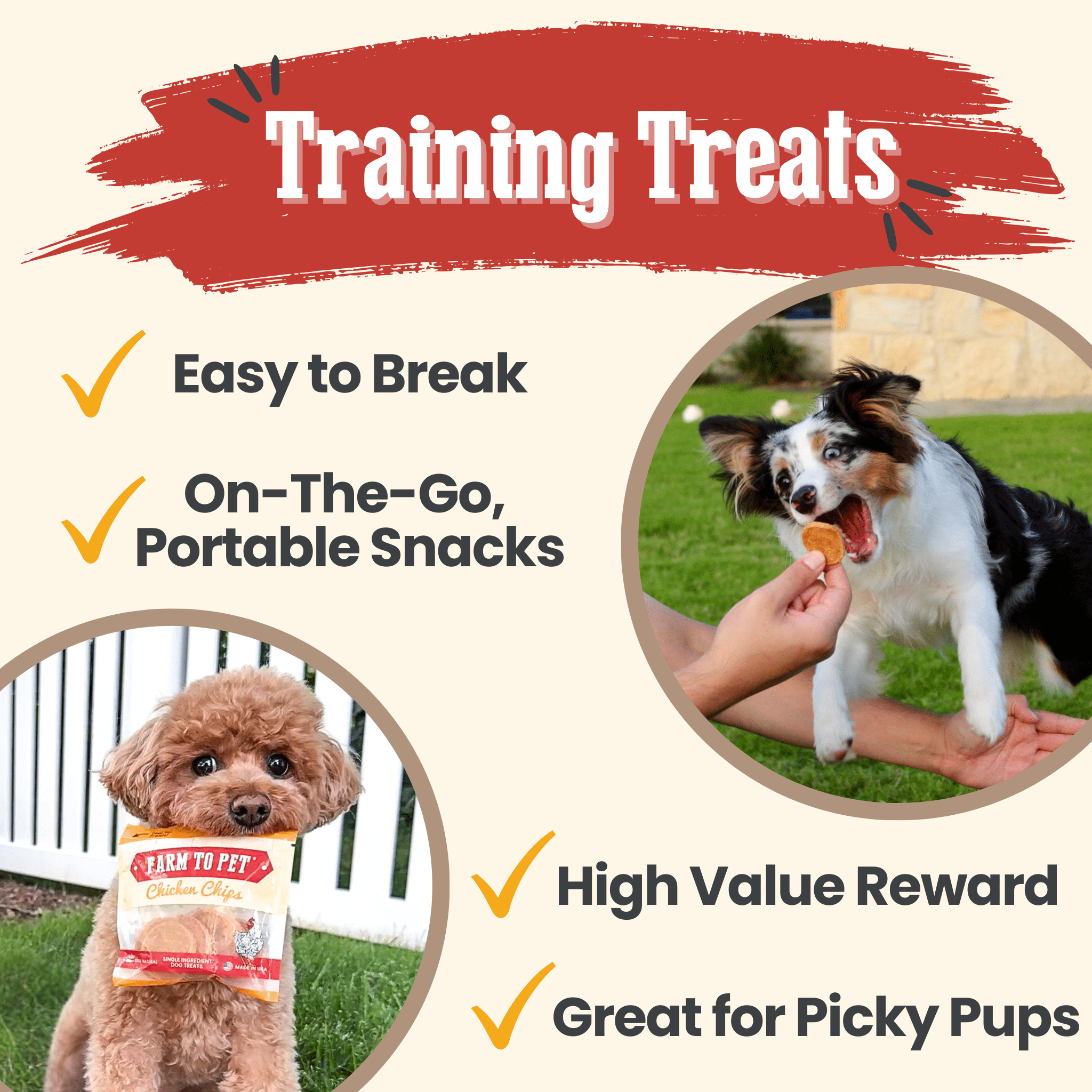 Chicken Chips Snack Pack Bundles | Dog Party Favors & Training Treats - Elite Pet Collective