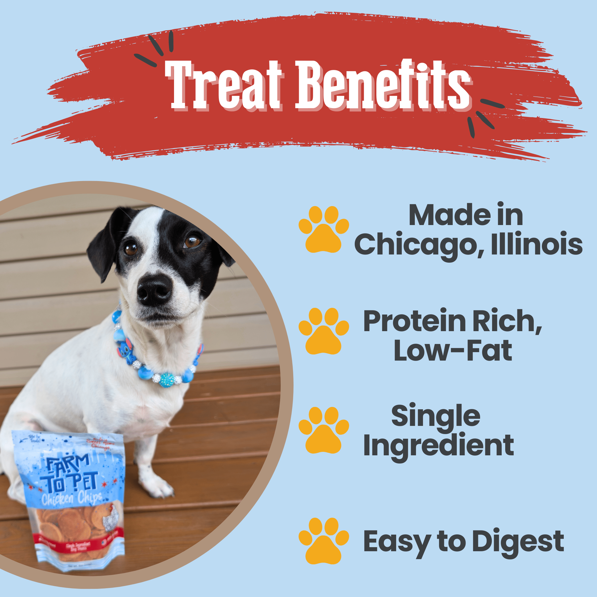 Chicago Chicken Chips for Dogs | Dog Treats To Celebrate Our Hometown - Elite Pet Collective