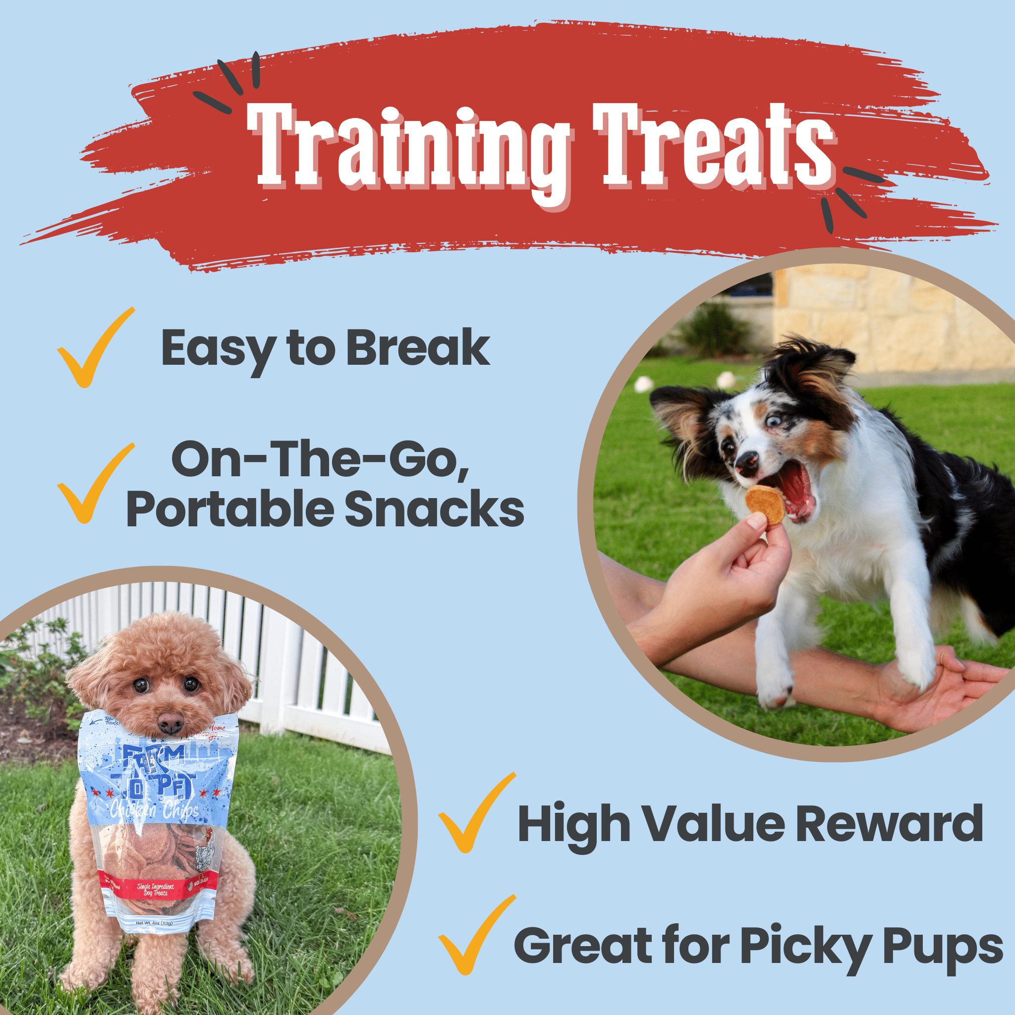 Chicago Chicken Chips for Dogs | Dog Treats To Celebrate Our Hometown - Elite Pet Collective