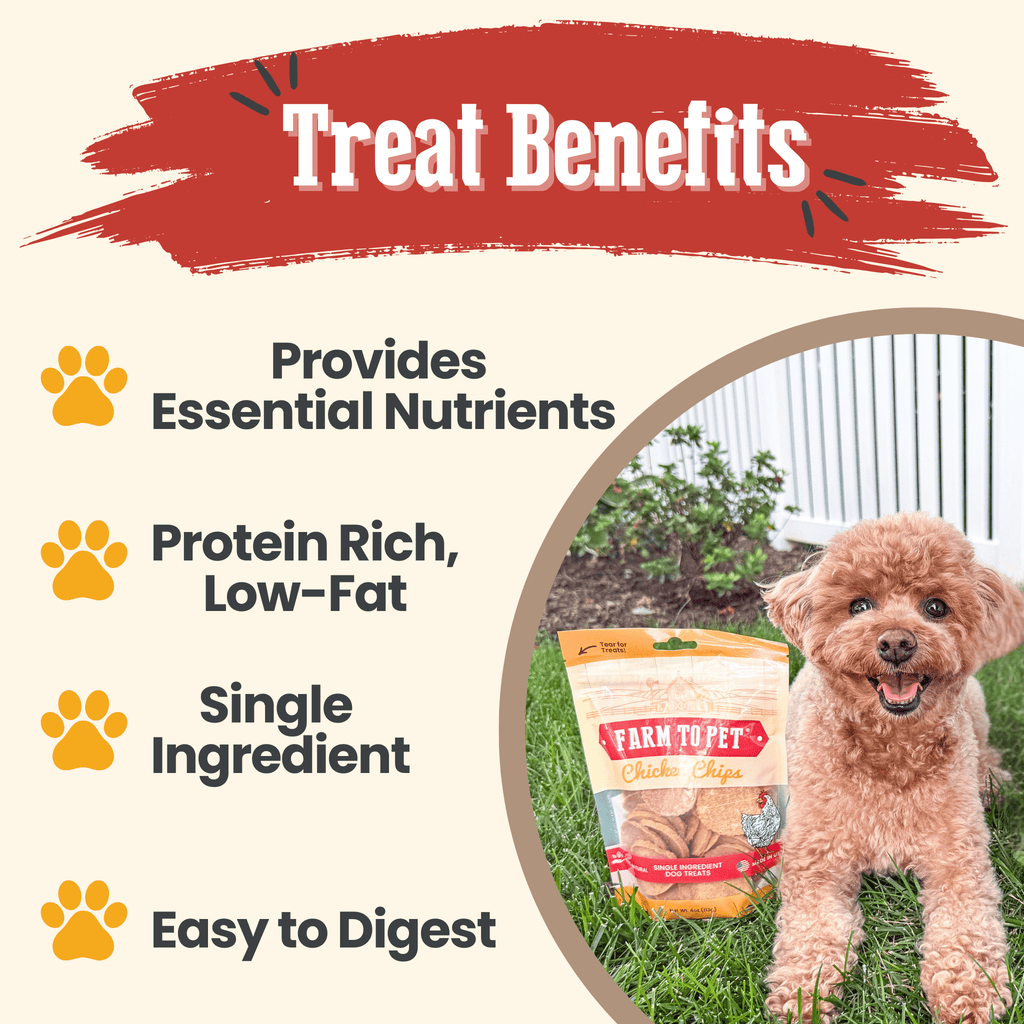 Chicken Chips for Dogs | All-Natural Single-Ingredient Dog Treats - Elite Pet Collective