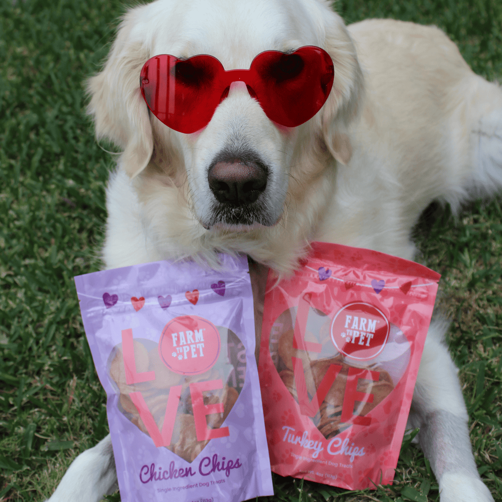 Puppy Love Dog Treat Duo | Poultry Chip Variety Pack - Elite Pet Collective