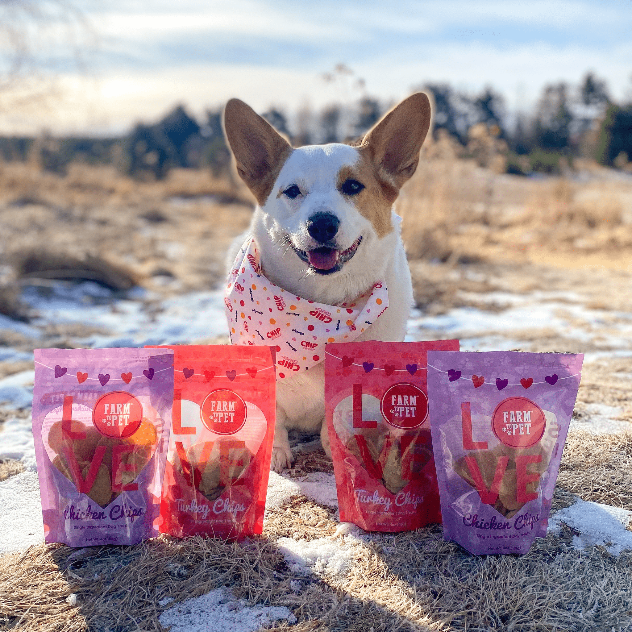Puppy Love Dog Treat Duo | Poultry Chip Variety Pack - Elite Pet Collective