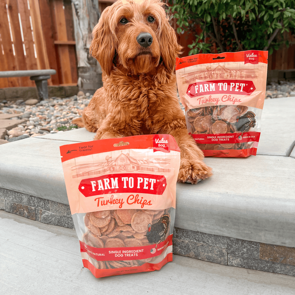 Turkey Chips for Dogs | All-Natural Single-Ingredient Healthy Dog Treats - Elite Pet Collective