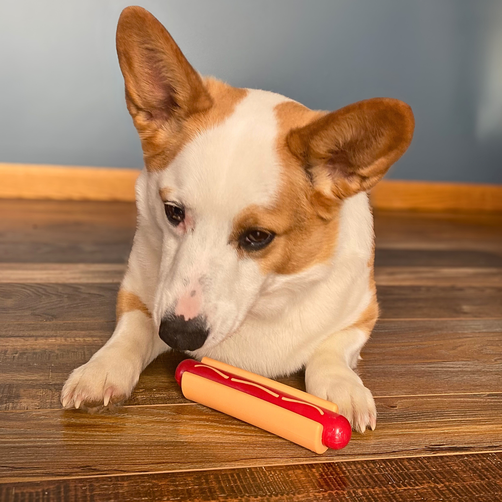 Chew Toys - Elite Pet Collective