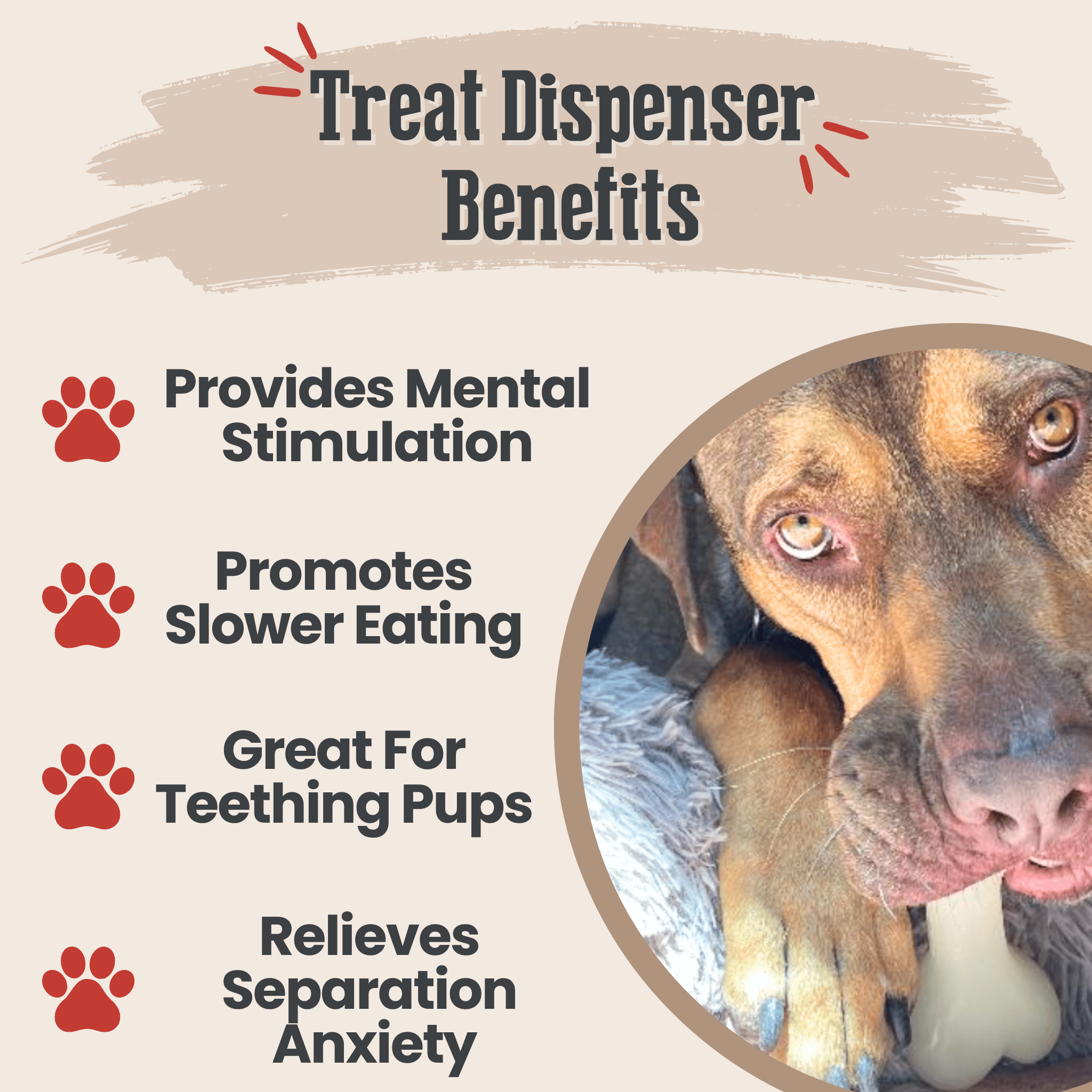Dog Treat Dispensers - Elite Pet Collective