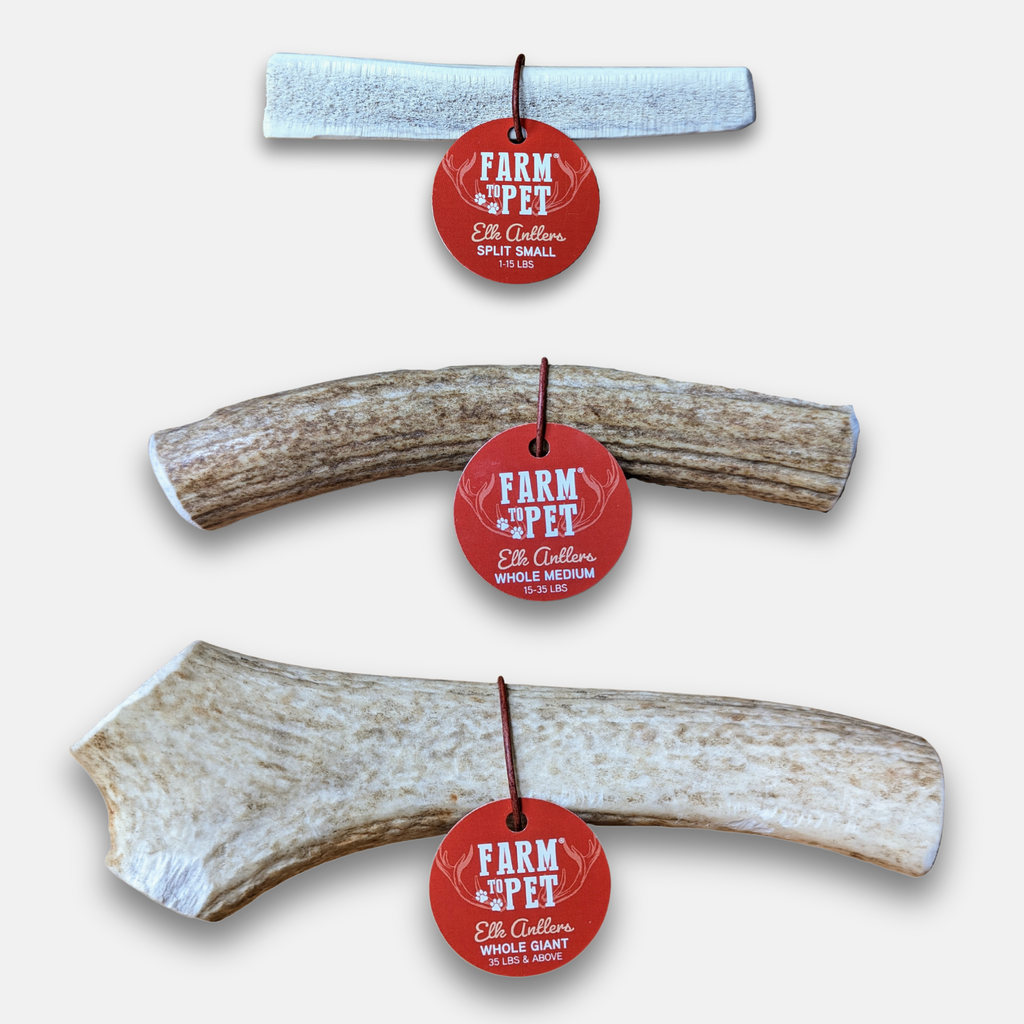 Elk Antler Dog Chews | All-Natural Whole and Split Elk Antler Chews for Dogs - Elite Pet Collective