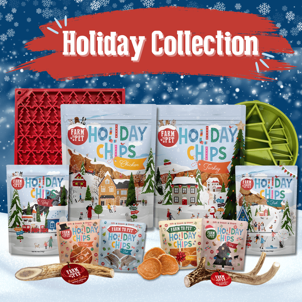 Slow Feeder Dog Bowls - Elite Pet Collective