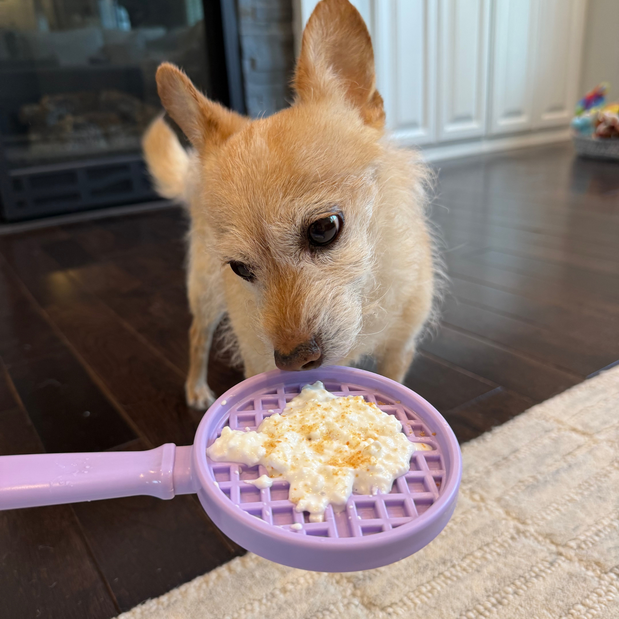Lick Sticks | Interactive Dog Training Toy - Elite Pet Collective