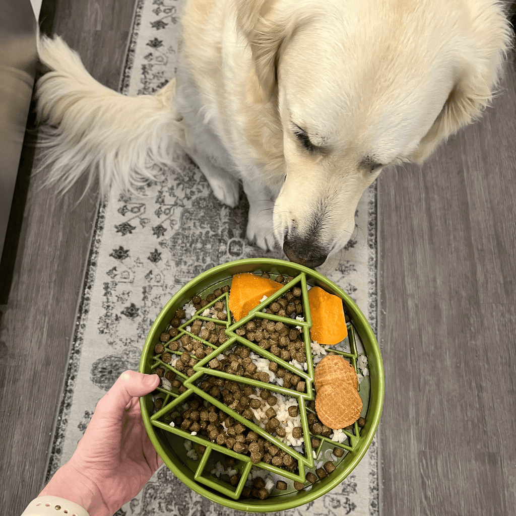 Slow Feeder Dog Bowls - Elite Pet Collective