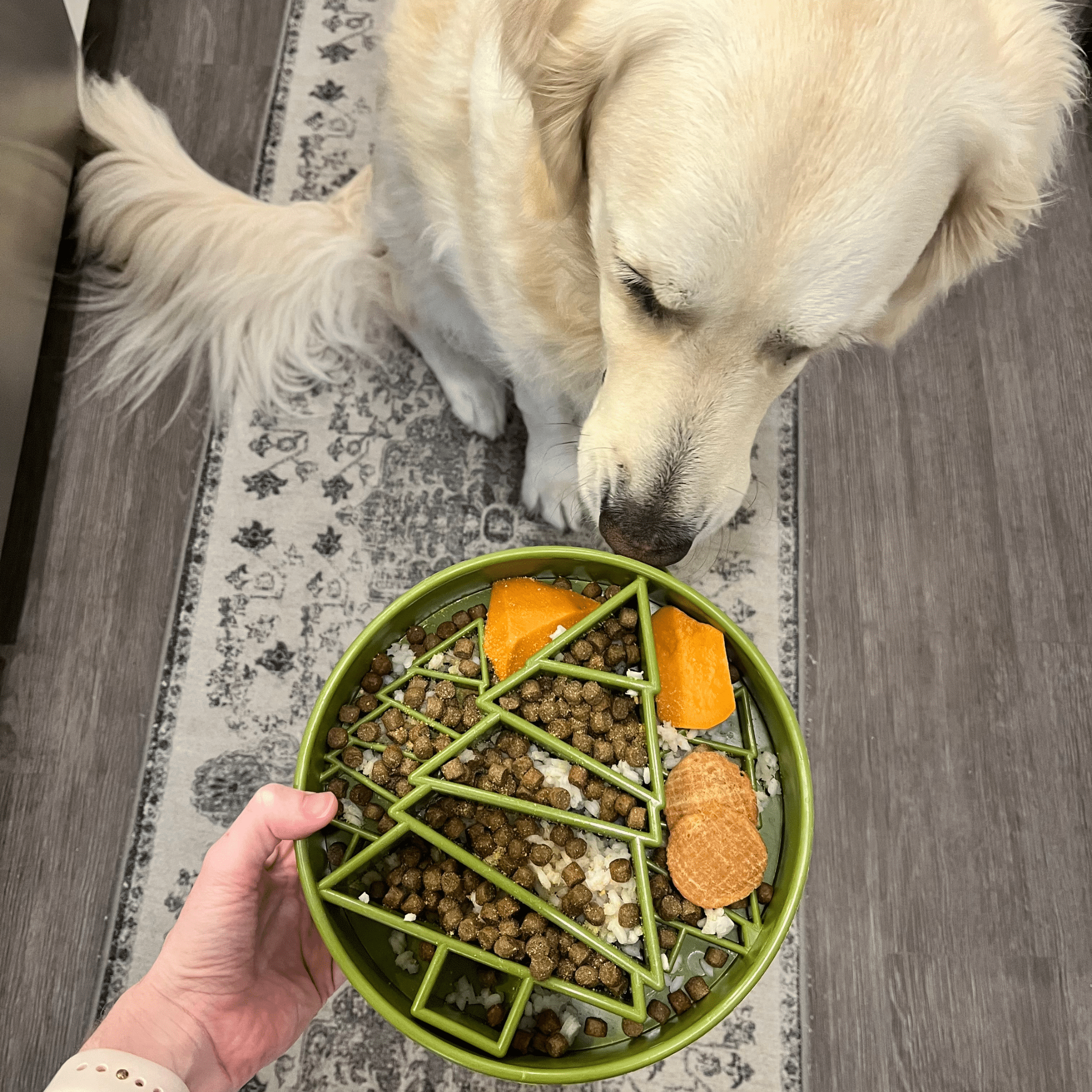 Slow Feeder Dog Bowls - Elite Pet Collective