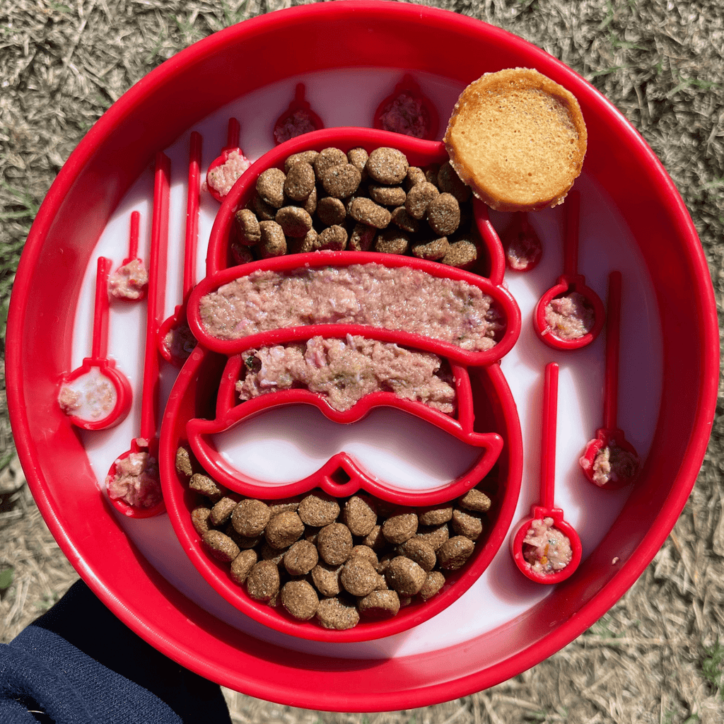 Slow Feeder Dog Bowls - Elite Pet Collective