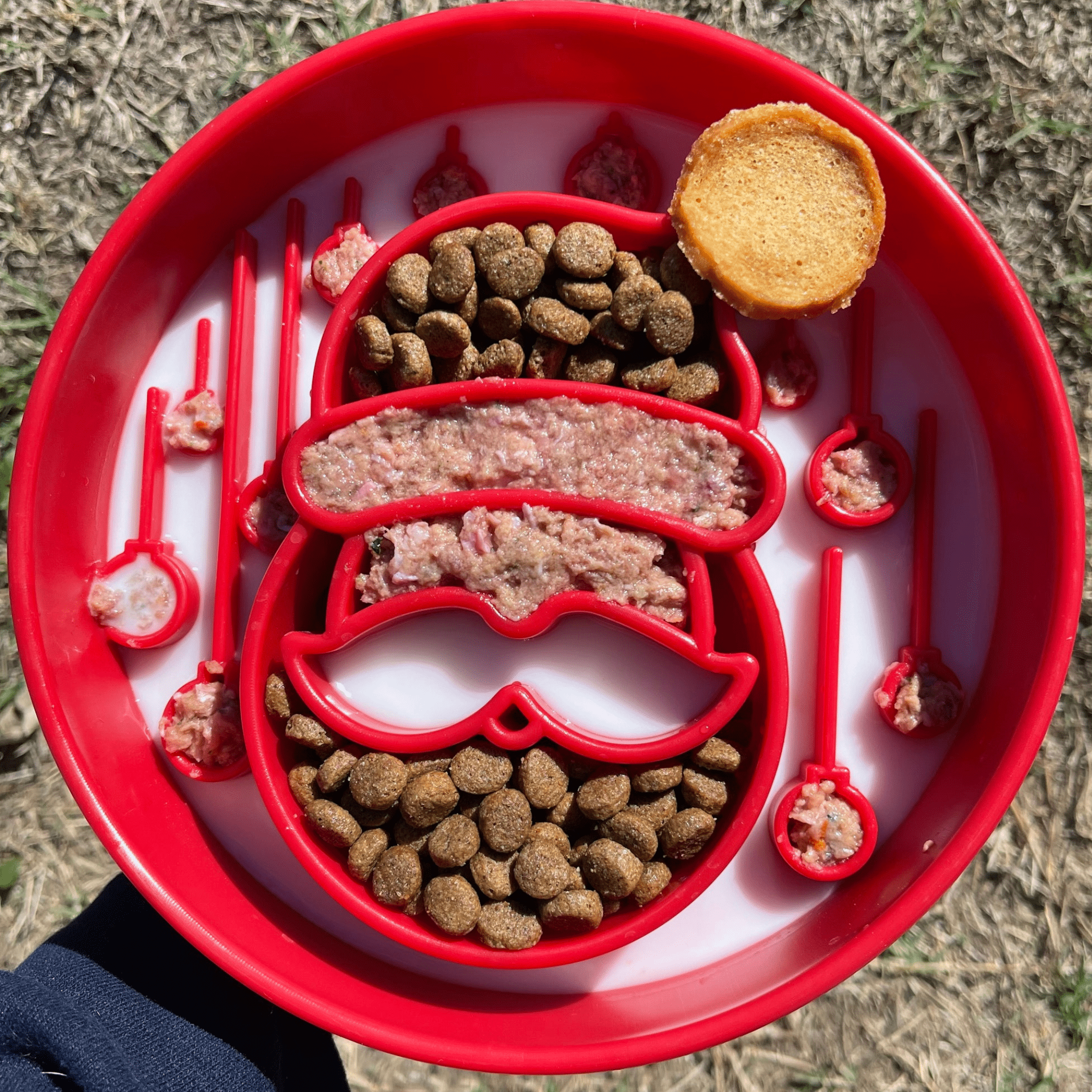 Slow Feeder Dog Bowls - Elite Pet Collective